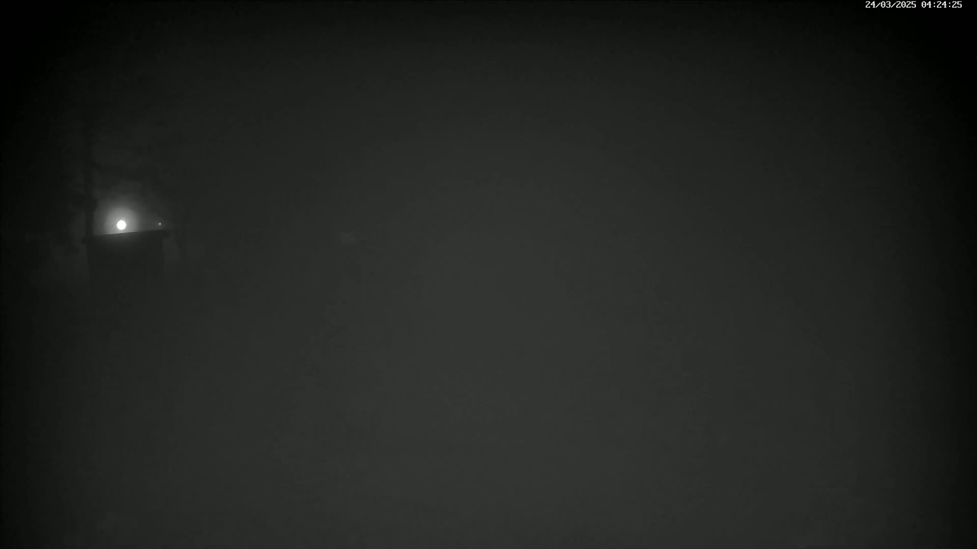 A dimly lit, foggy scene at night shows a small light illuminating a dark structure.