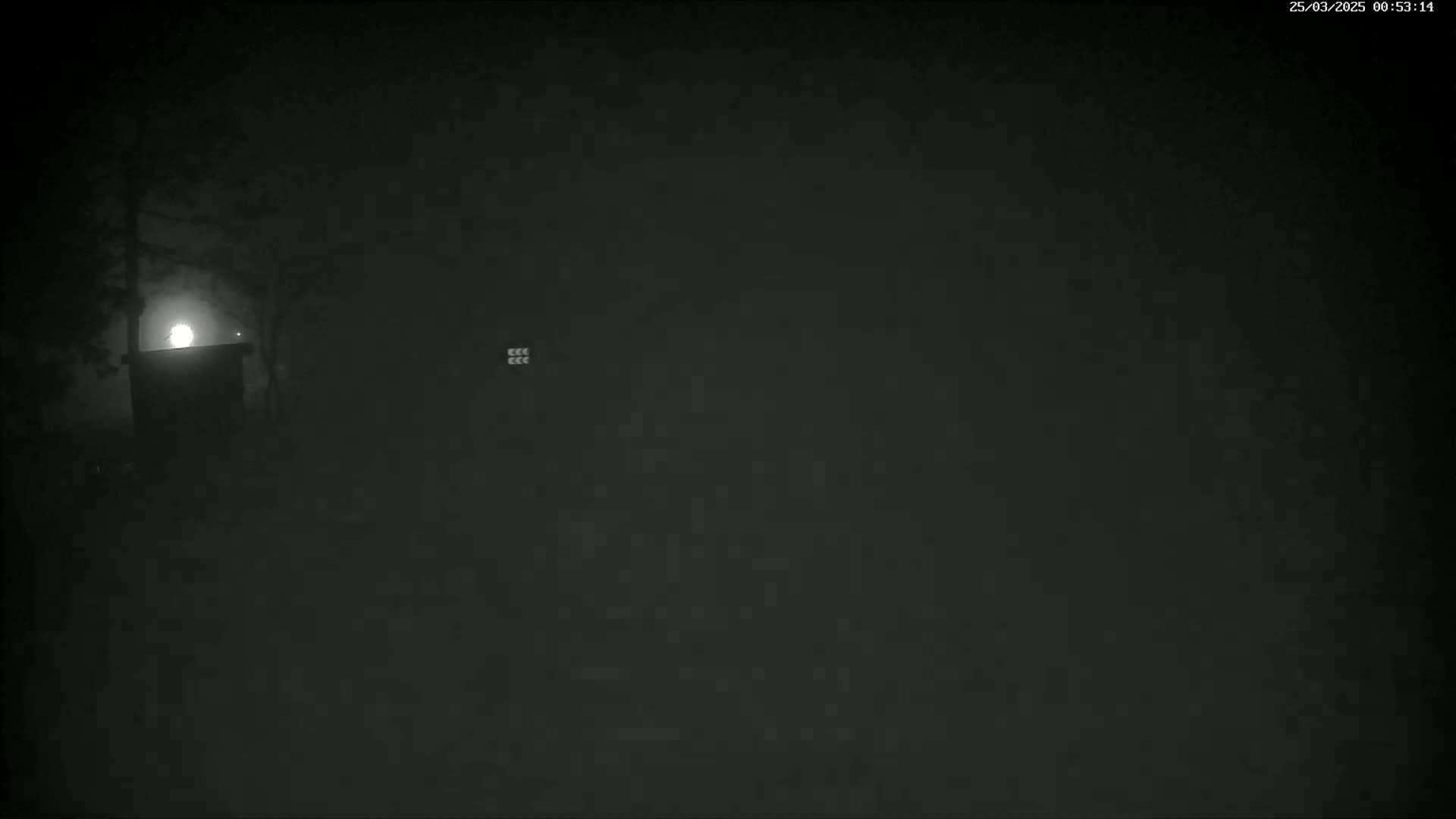 A dimly lit, foggy nighttime scene shows a dark structure silhouetted against a bright moon.
