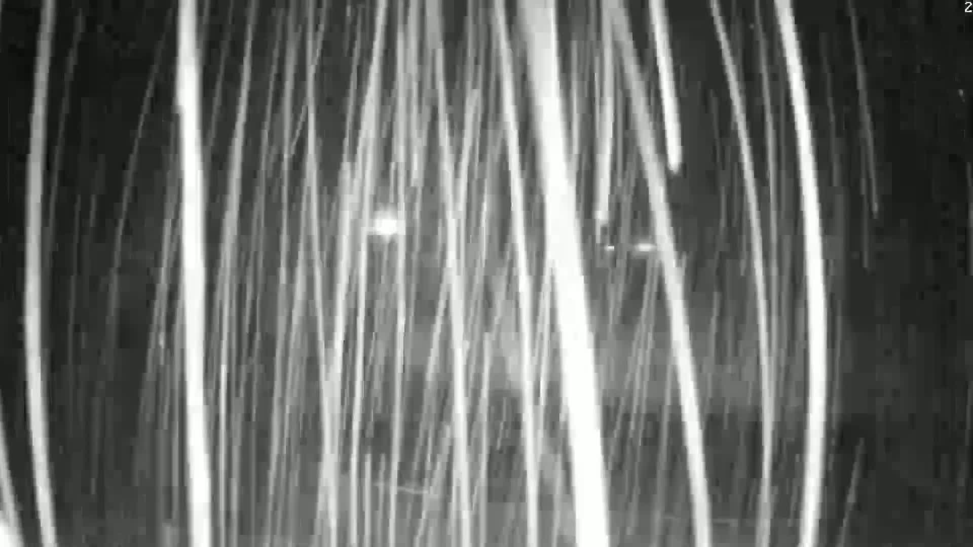 A long-exposure nighttime shot shows numerous vertical streaks of light against a dark background.
