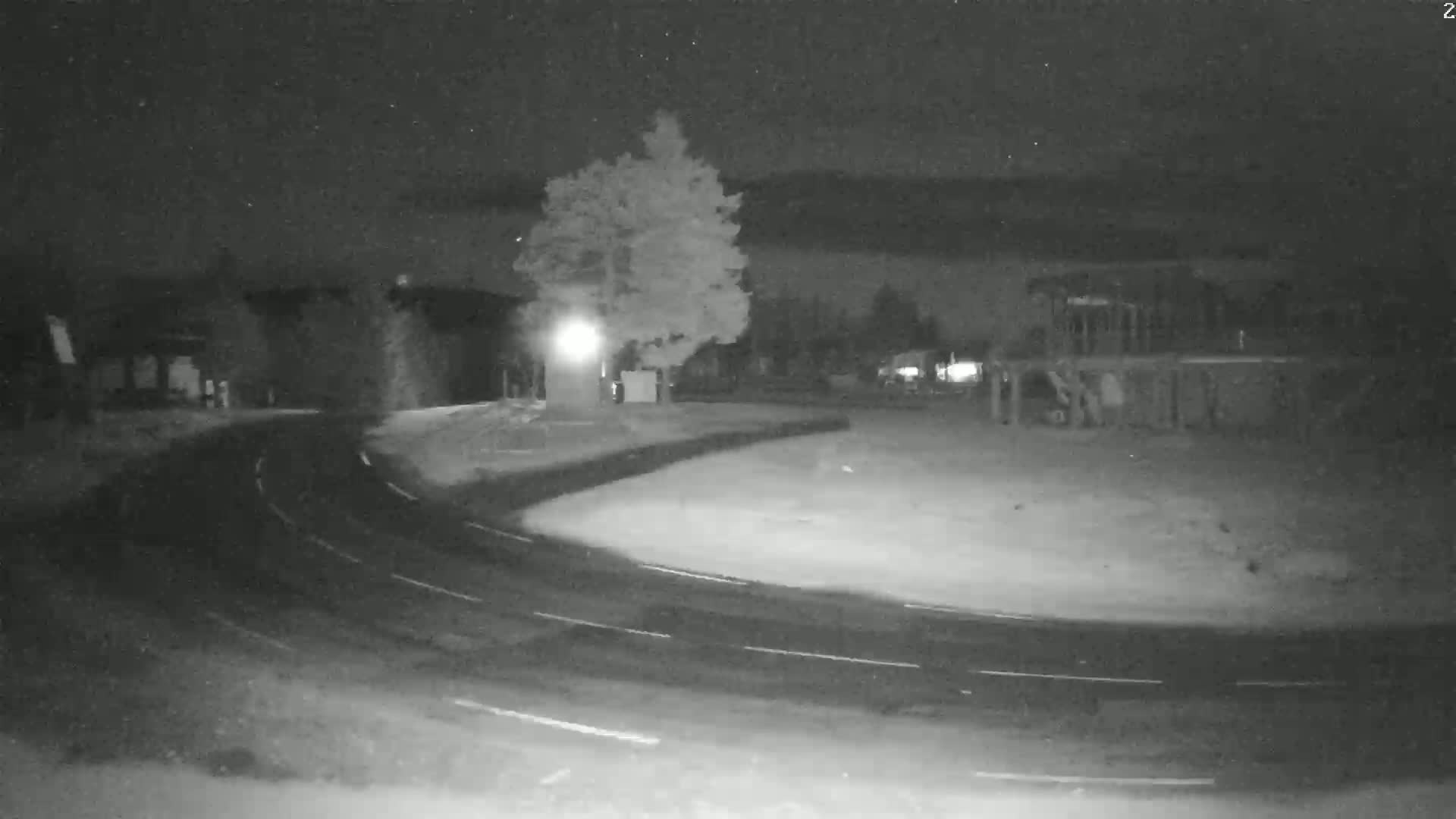 A nighttime, low-light image shows a curving road with faint lane markings, a tree illuminated by a nearby lamppost, and a building in the background under a dark, possibly cloudy sky.