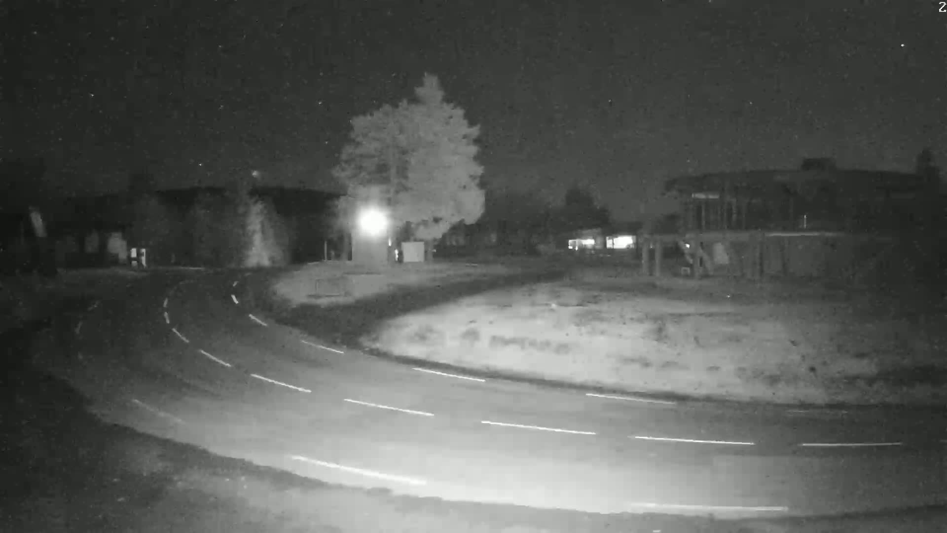 A curving road at night is illuminated by a light source near a tree and buildings.