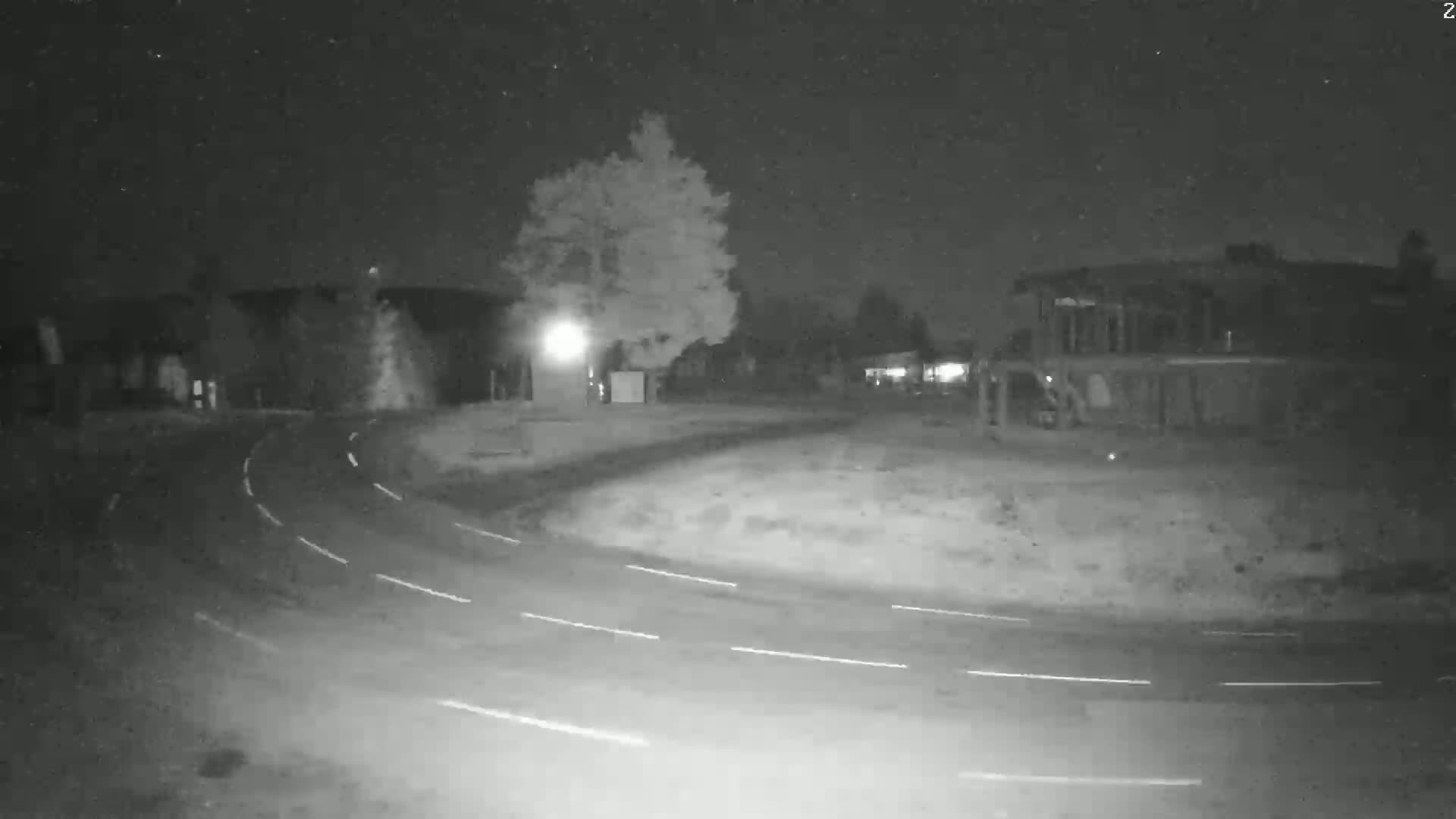 A nighttime, low-light view of a curving road near buildings and a tree under a clear, dark sky.