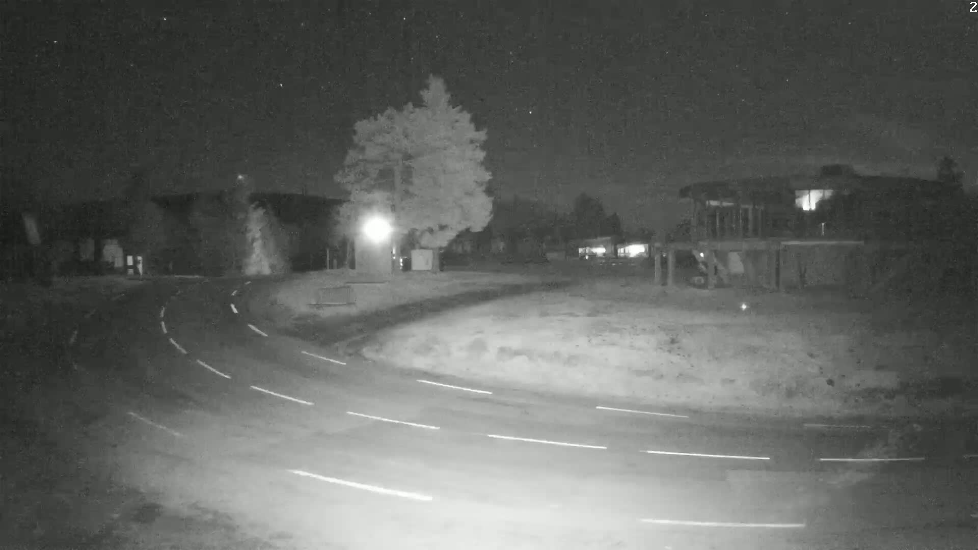A nighttime, low-light view shows a curved roadway with white lane markings, alongside buildings and a large tree under a clear, starry sky.
