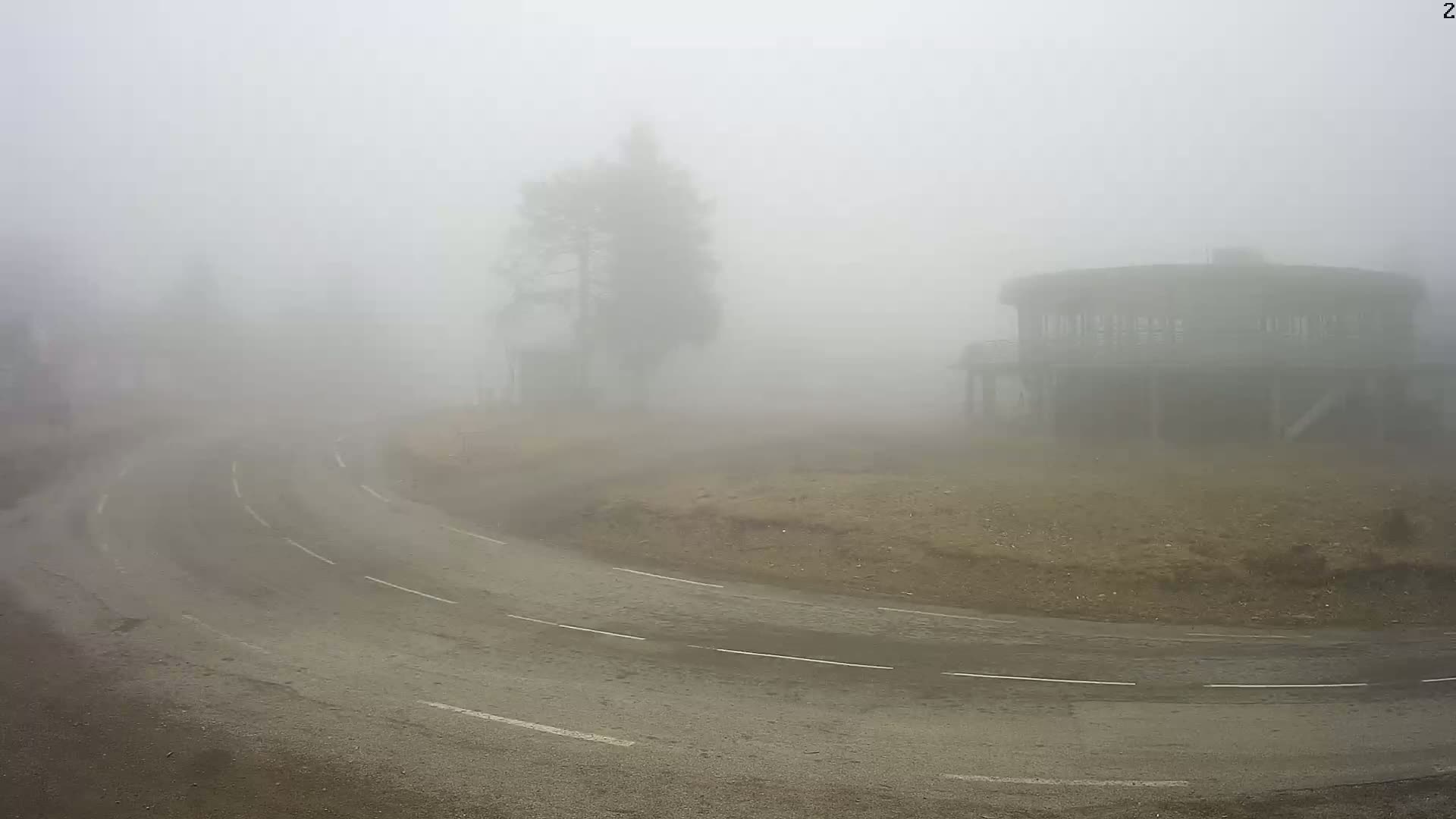 A curving road winds through a foggy landscape past a tree and a large, circular building.