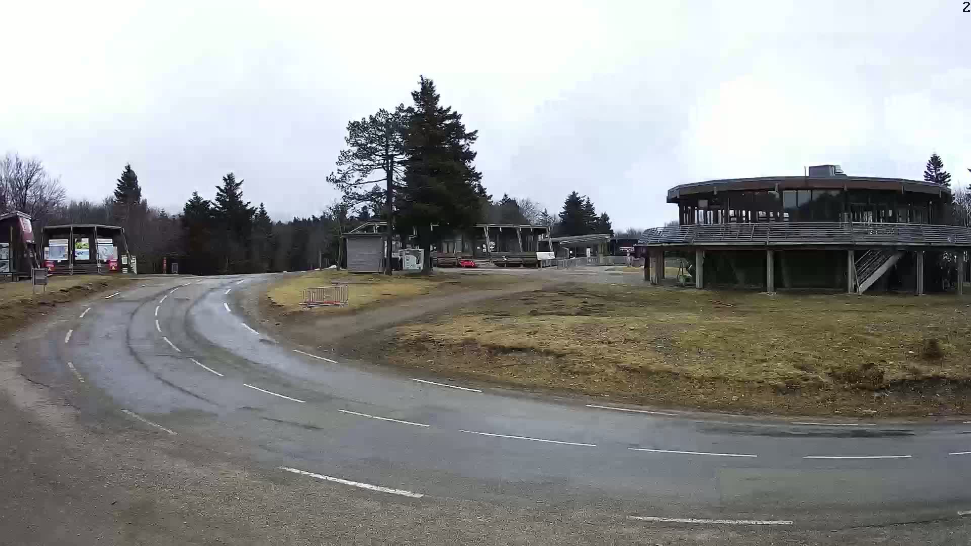 A curving road leads to several buildings in a wooded area under an overcast sky.