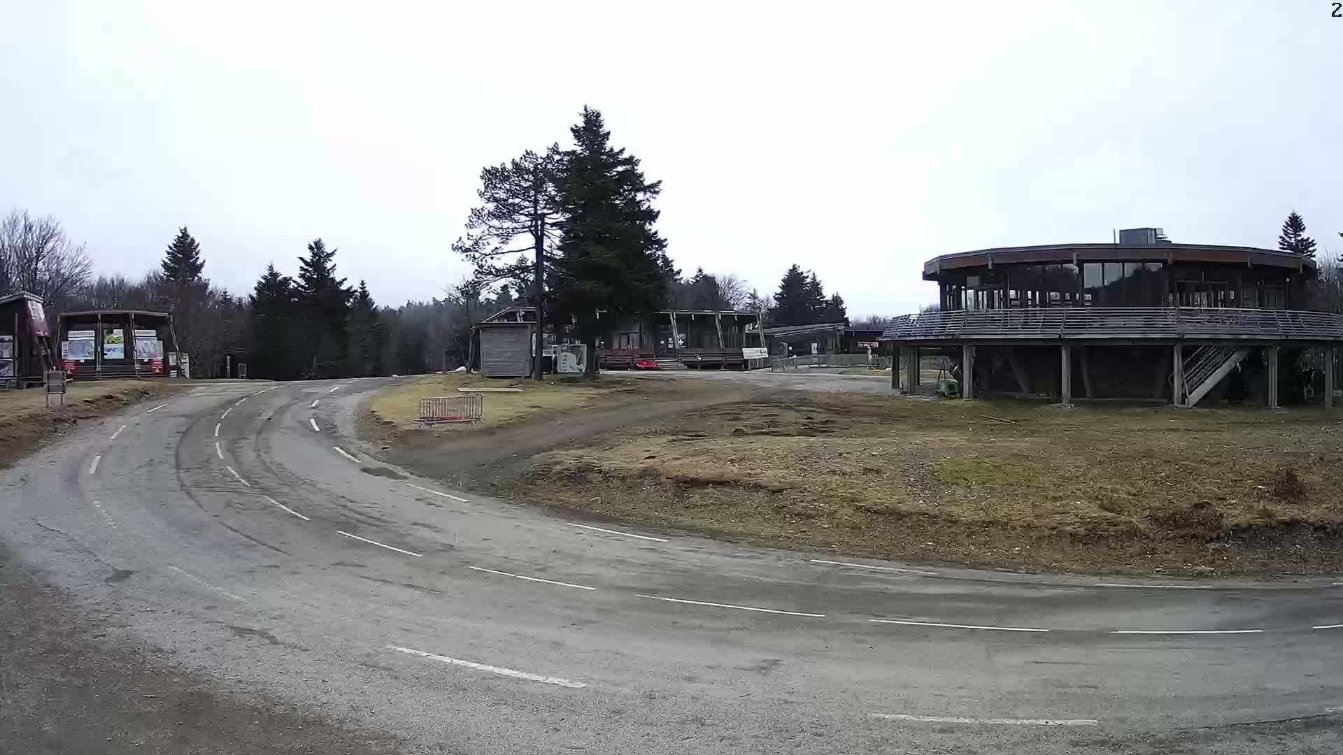 A paved roadway curves around a cluster of buildings near a stand of evergreen trees under an overcast sky.