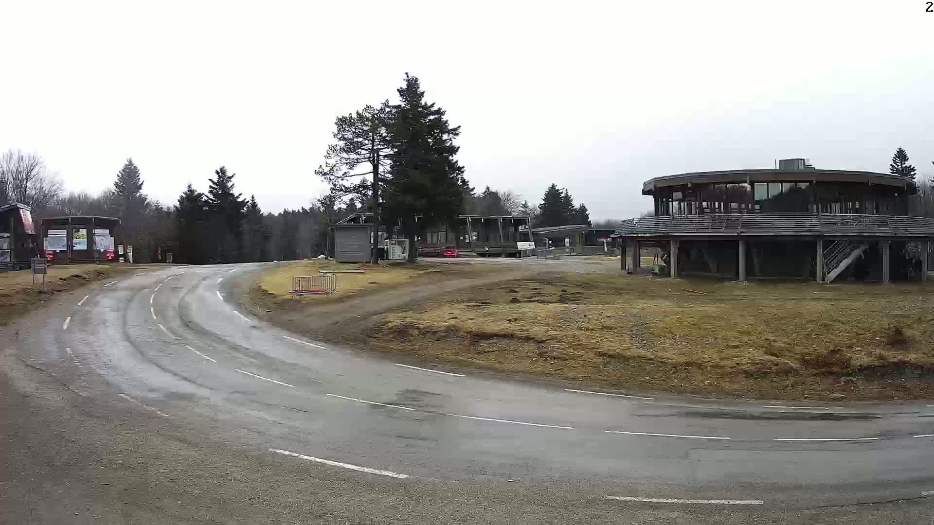 A wet, curving road leads to several buildings in a wooded area under an overcast sky.