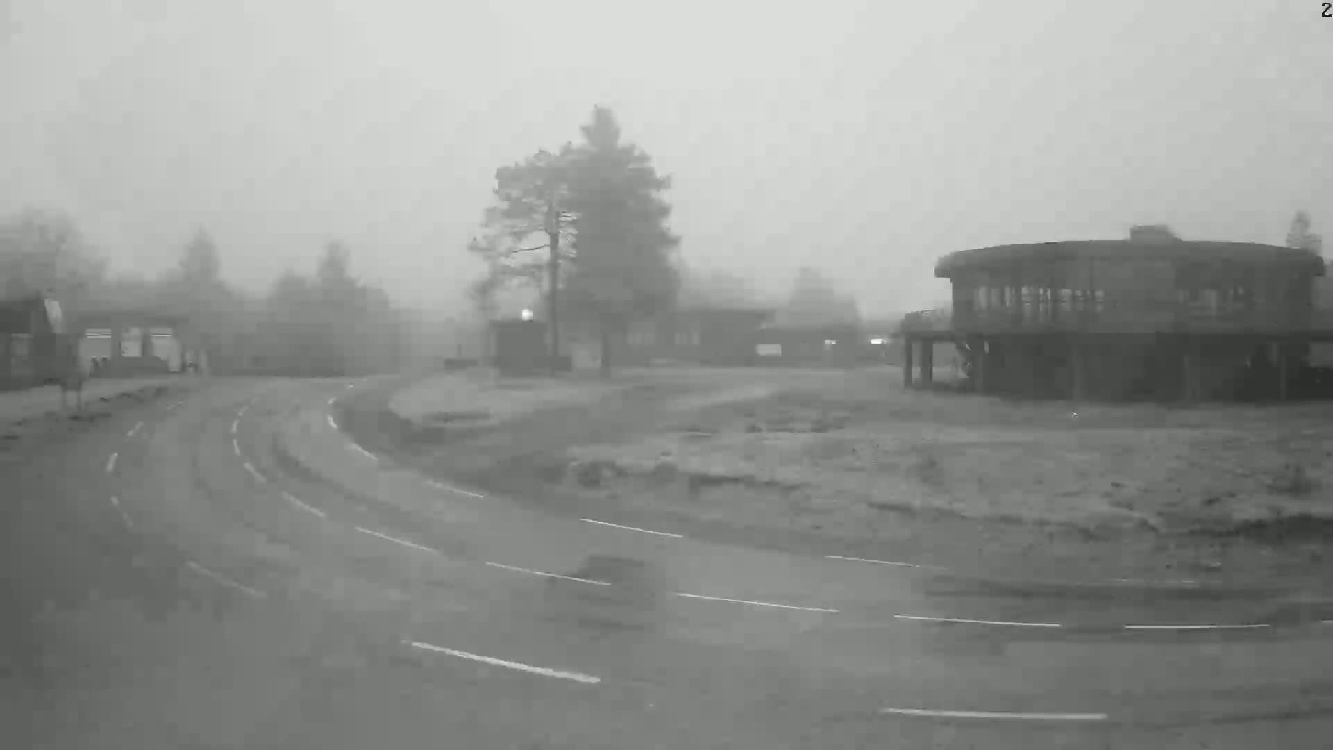 A curving road winds through a foggy landscape, past several buildings and a lone tree.