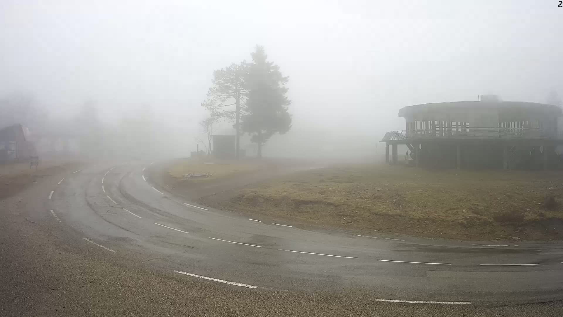 A curving road winds through a foggy landscape, past a tree and a circular building on stilts.