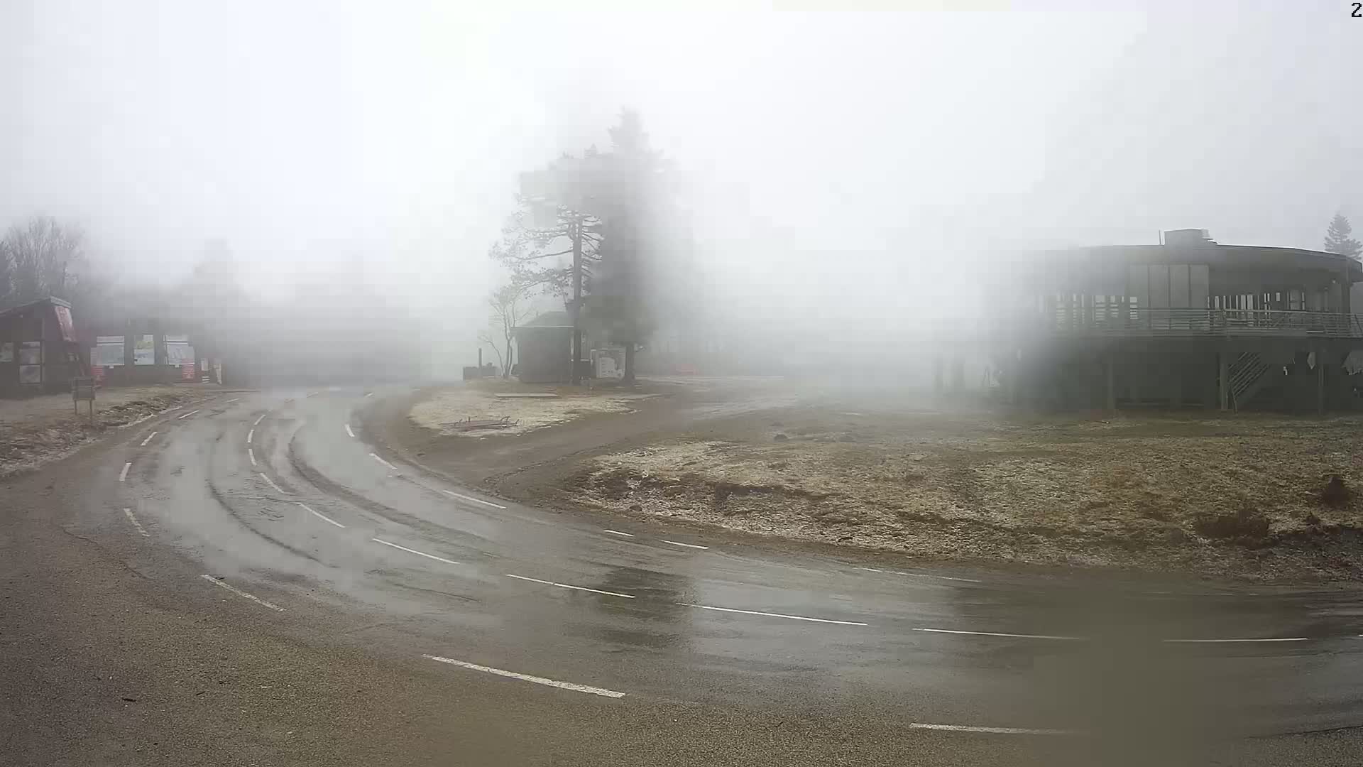 A wet, curving road winds through a foggy landscape past a small building and a larger, elevated structure.