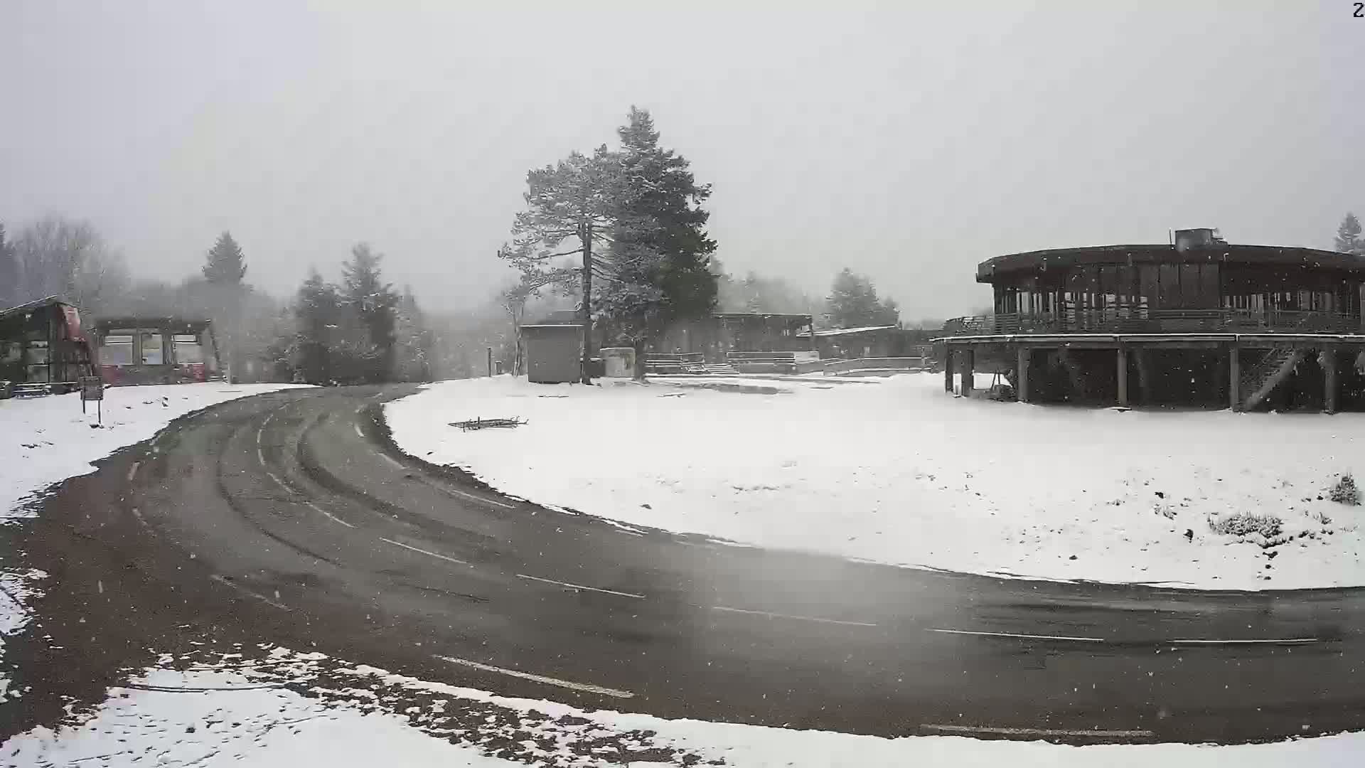 A snow-covered road curves around a cluster of buildings and trees in a light snowfall.