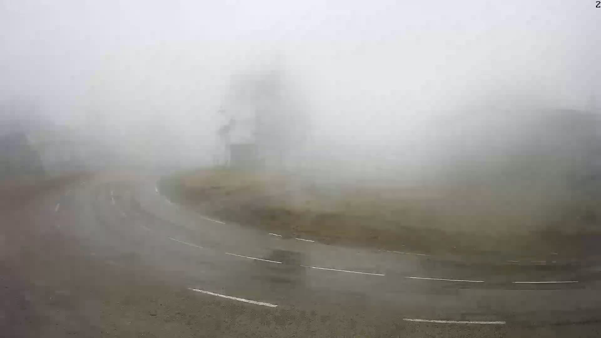 A wet, curving road is shrouded in thick fog, with indistinct vegetation and structures barely visible in the distance.
