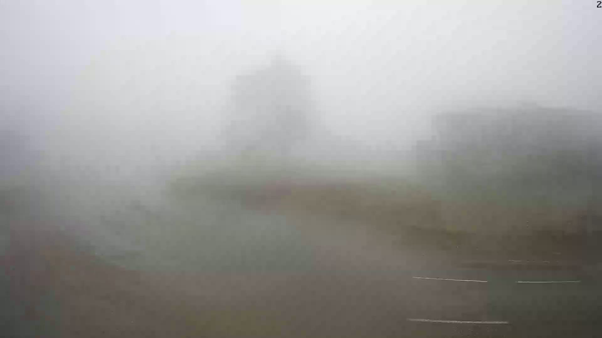 A foggy, outdoor scene shows indistinct shapes of vegetation and structures, with a road visible in the foreground.