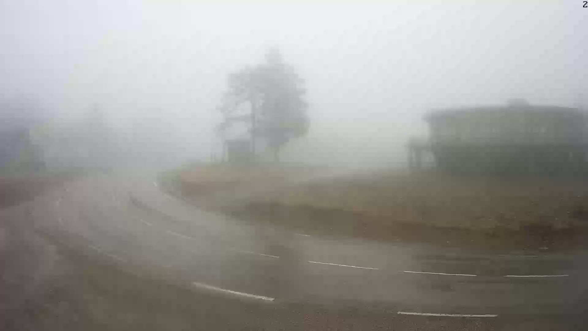 A rain-slicked road curves through a foggy landscape, past a lone tree and a building barely visible in the dense mist.