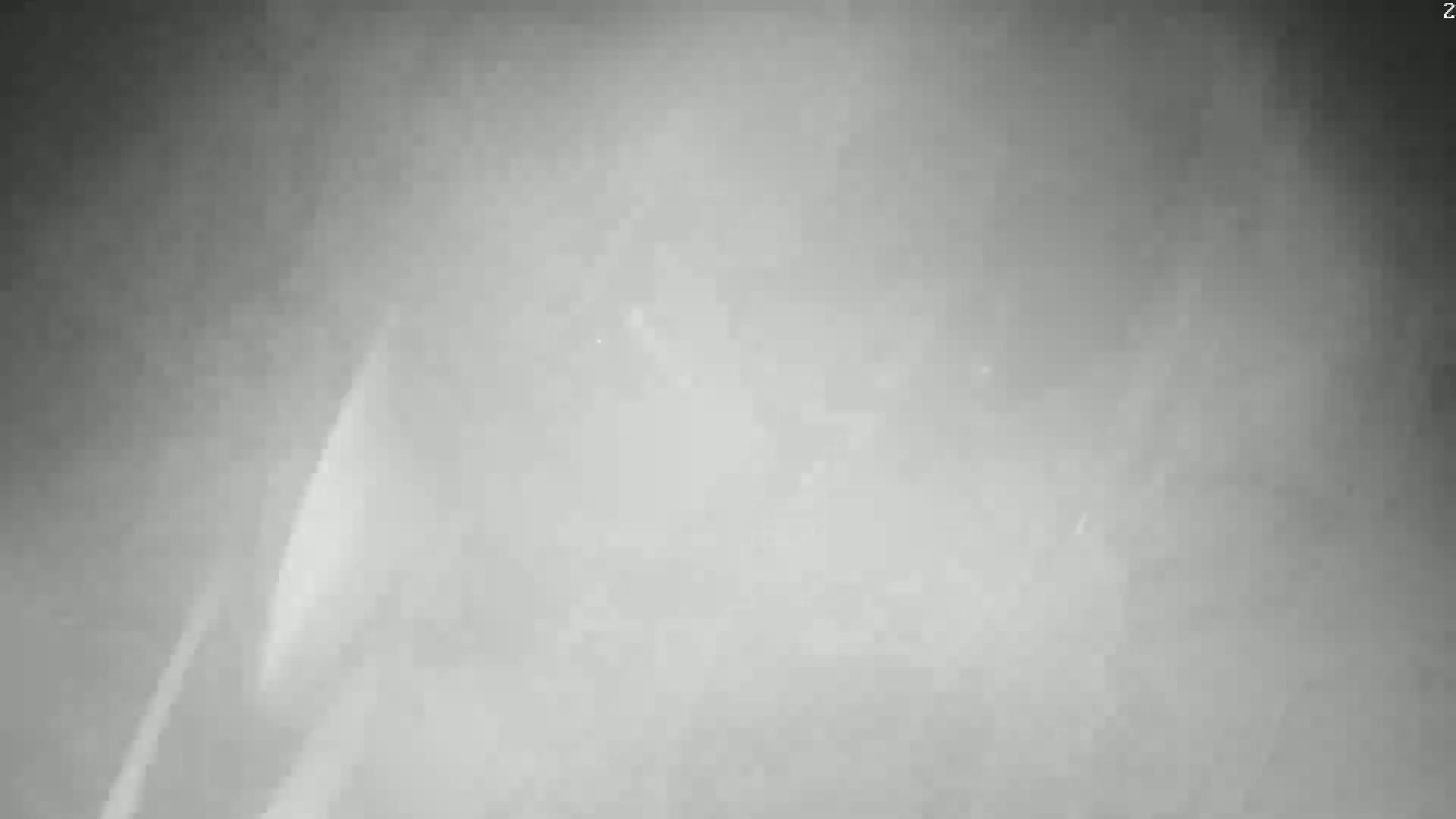 A blurry, grayscale image shows a hazy, possibly foggy or overcast, outdoor scene.
