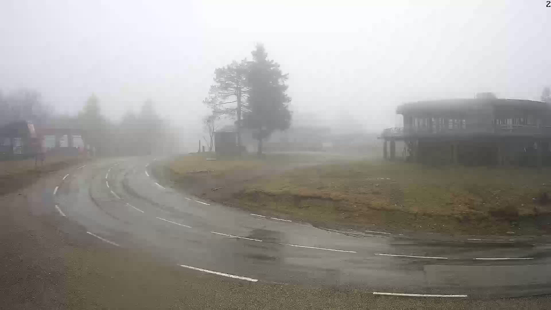 A wet, curving road winds through a foggy landscape toward a raised building and a lone tree.
