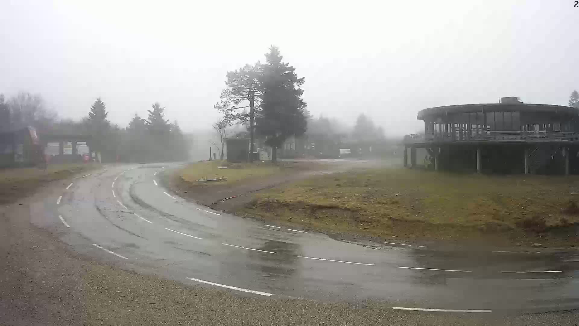 A wet, curving road leads to a circular building and a small cluster of trees in a foggy, rainy environment.