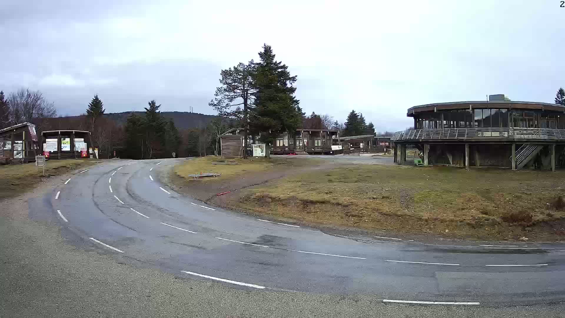 A curved road leads to a cluster of buildings in a wooded area under an overcast sky.