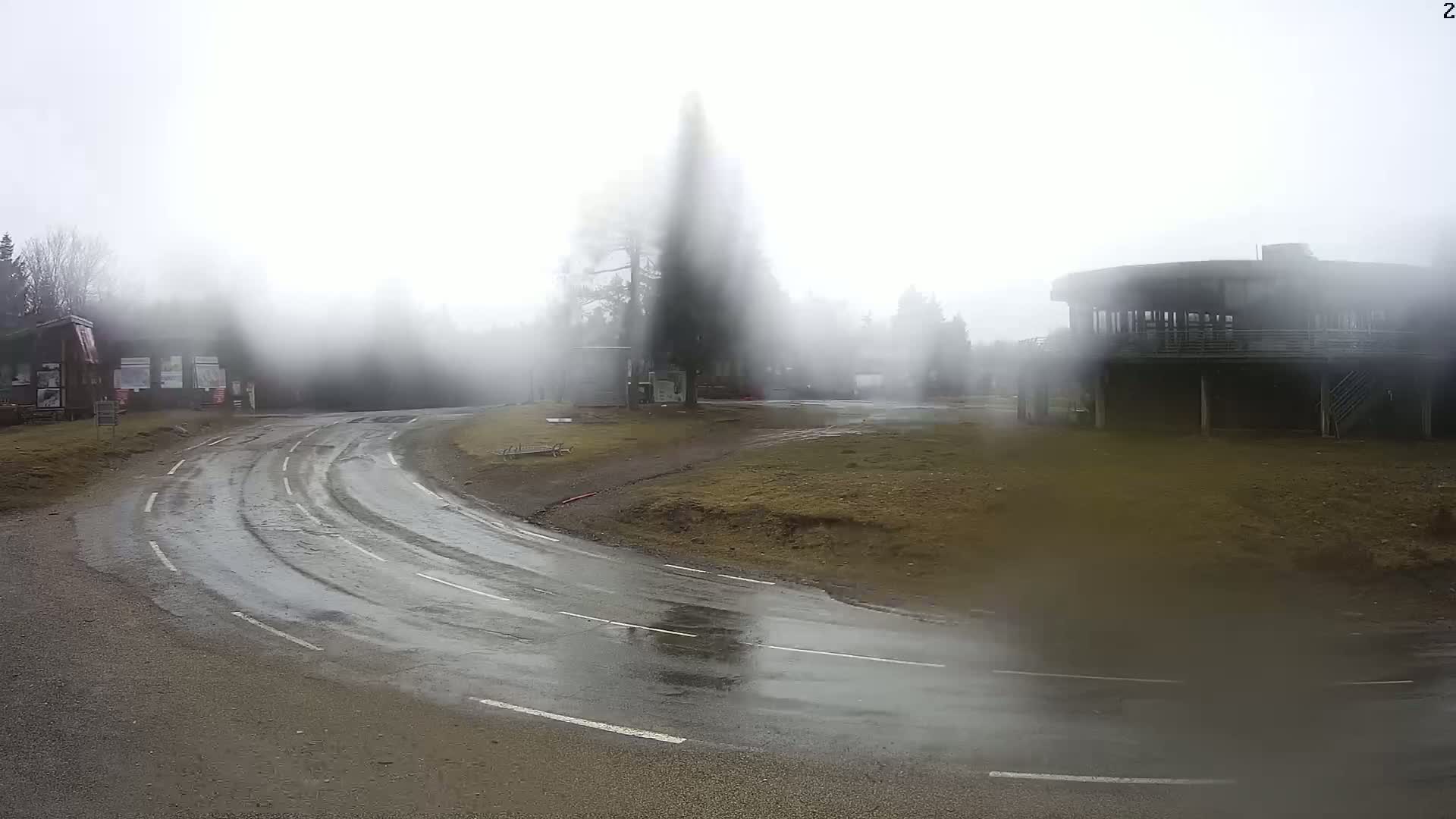 A wet, curving road leads toward a foggy area with several buildings and trees.