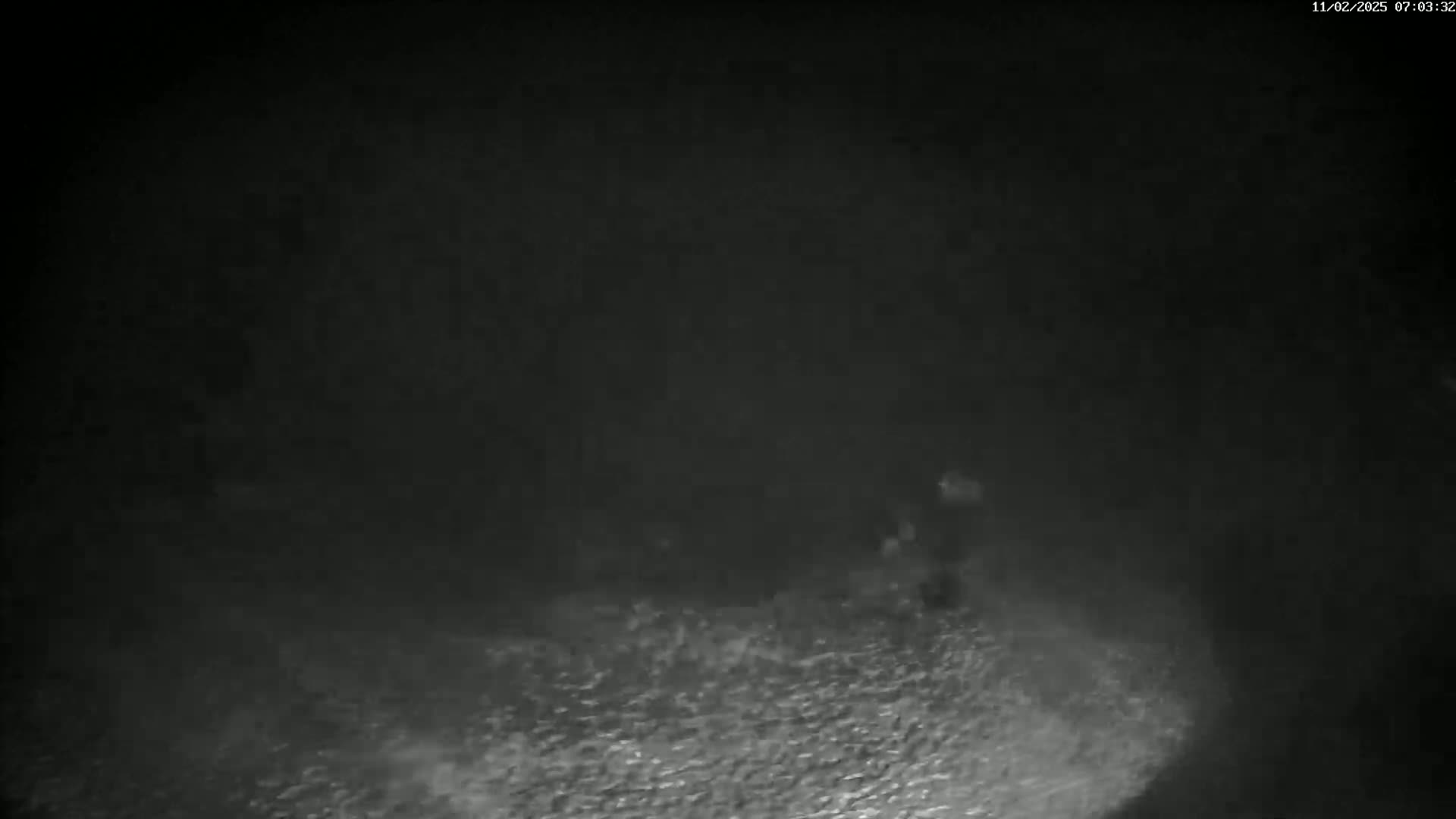 A grainy, low-light image shows a dark, possibly nighttime scene of a person standing near a textured surface that could be water or ground.
