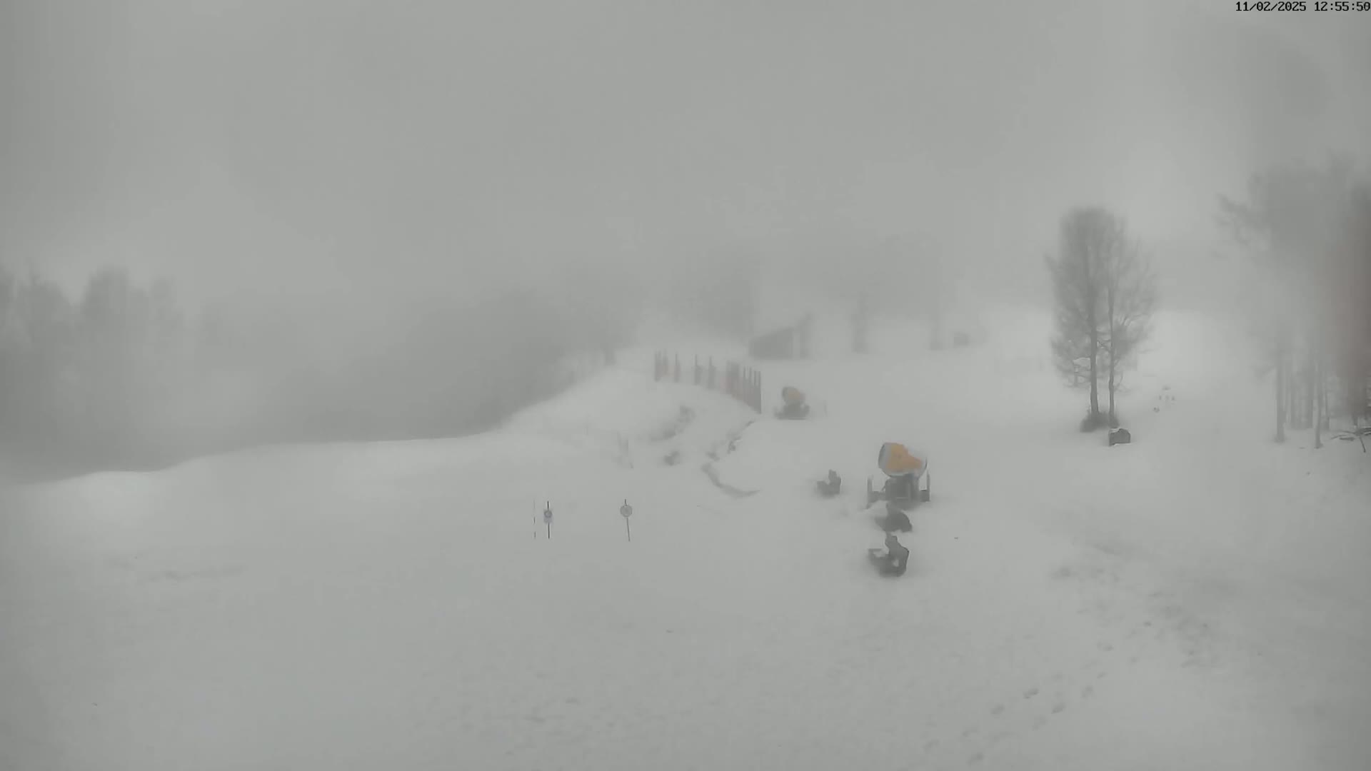 A snow-covered landscape is shrouded in thick fog, with a few trees and snow-making machines visible in the distance.