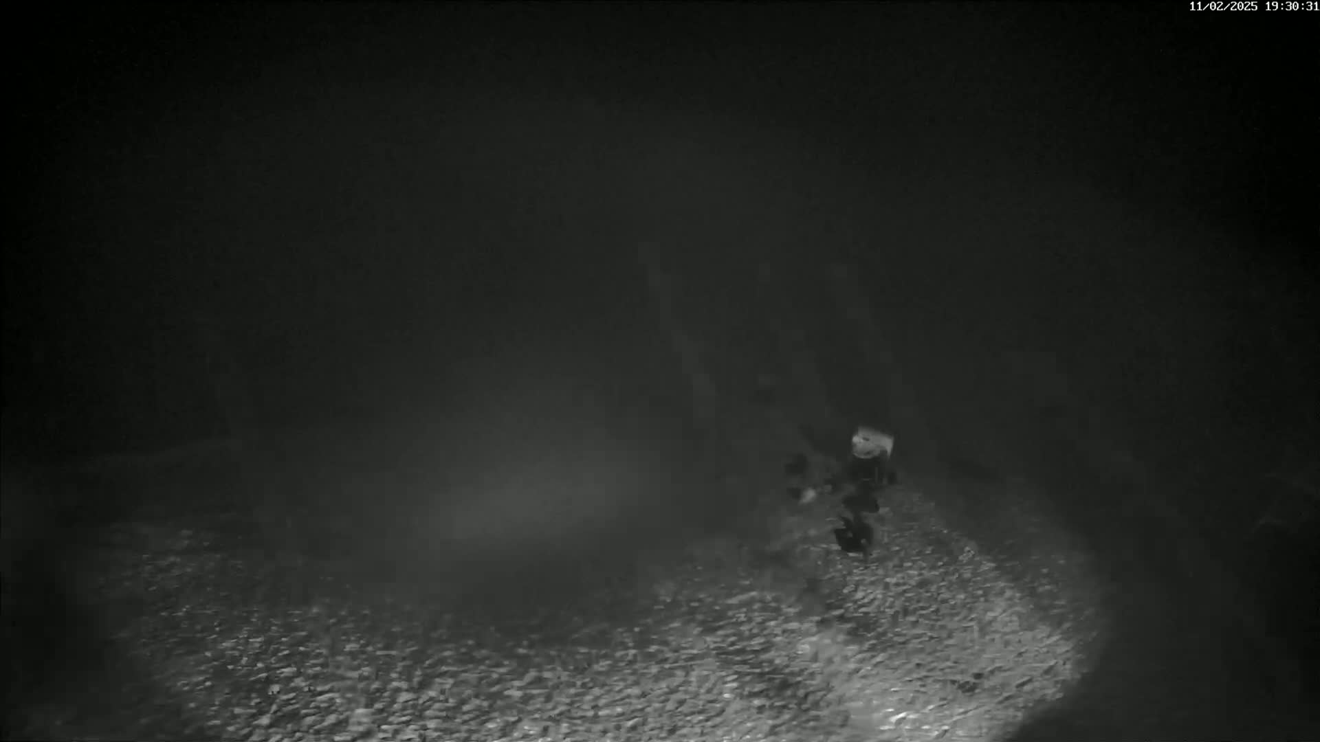 A low-light image shows a dark, possibly underwater, scene with a blurry object in the center and a textured surface below.