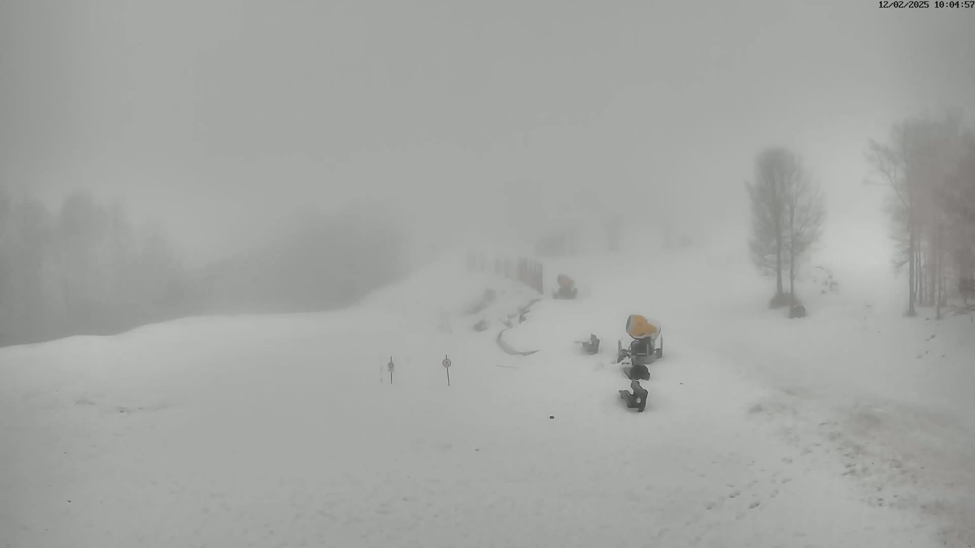 Val-d'Aigoual, Mont de l'Aigoual, Prat Peyrot Ski Slope - Le Vigan, Gard, Occitanie, France