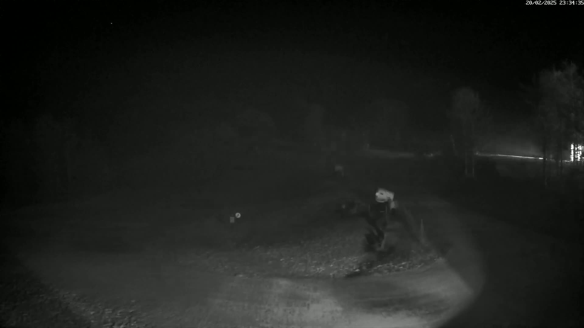 A nighttime, low-light outdoor scene shows a person near the bottom center of the frame and some indistinct shapes in the distance, with trees bordering the area.