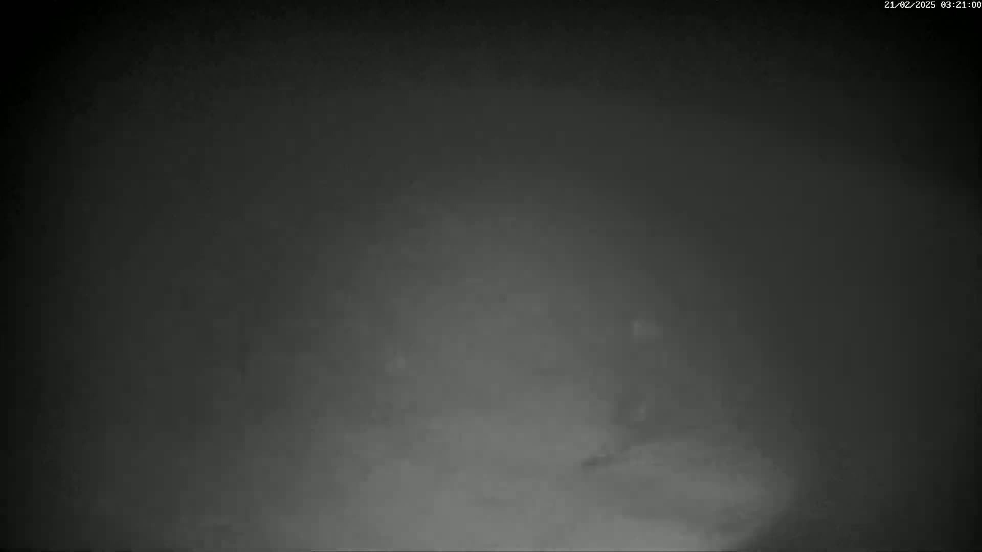 A dark, foggy scene is visible at night.