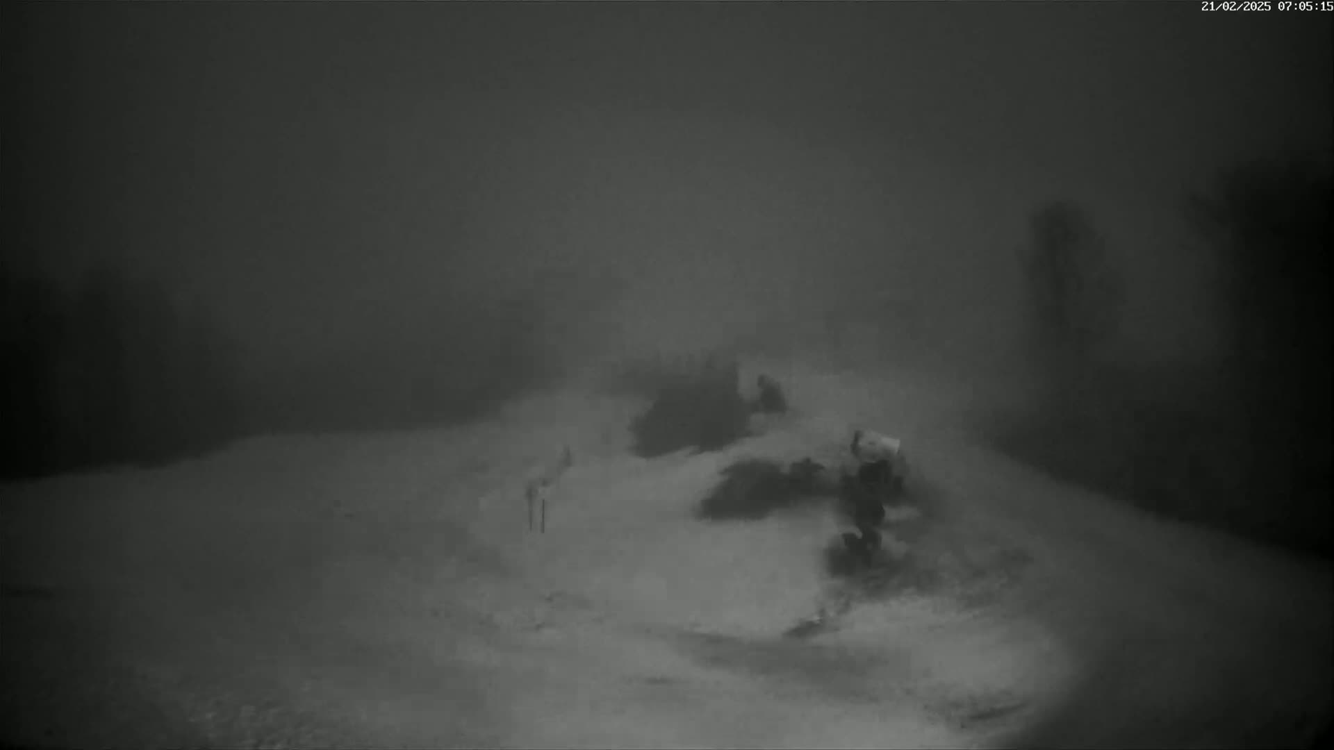A low-visibility, snowy scene shows indistinct dark objects on a snowy ground, likely under nighttime conditions.