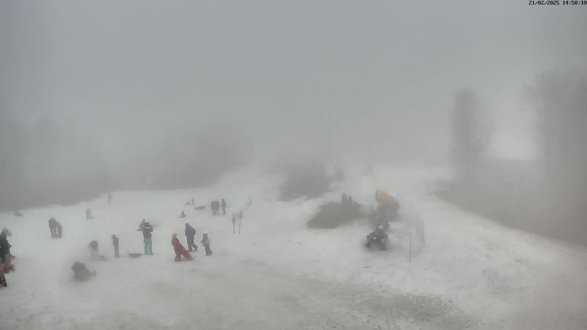 A snowy, foggy scene shows numerous people sledding and playing in a snow-covered area.