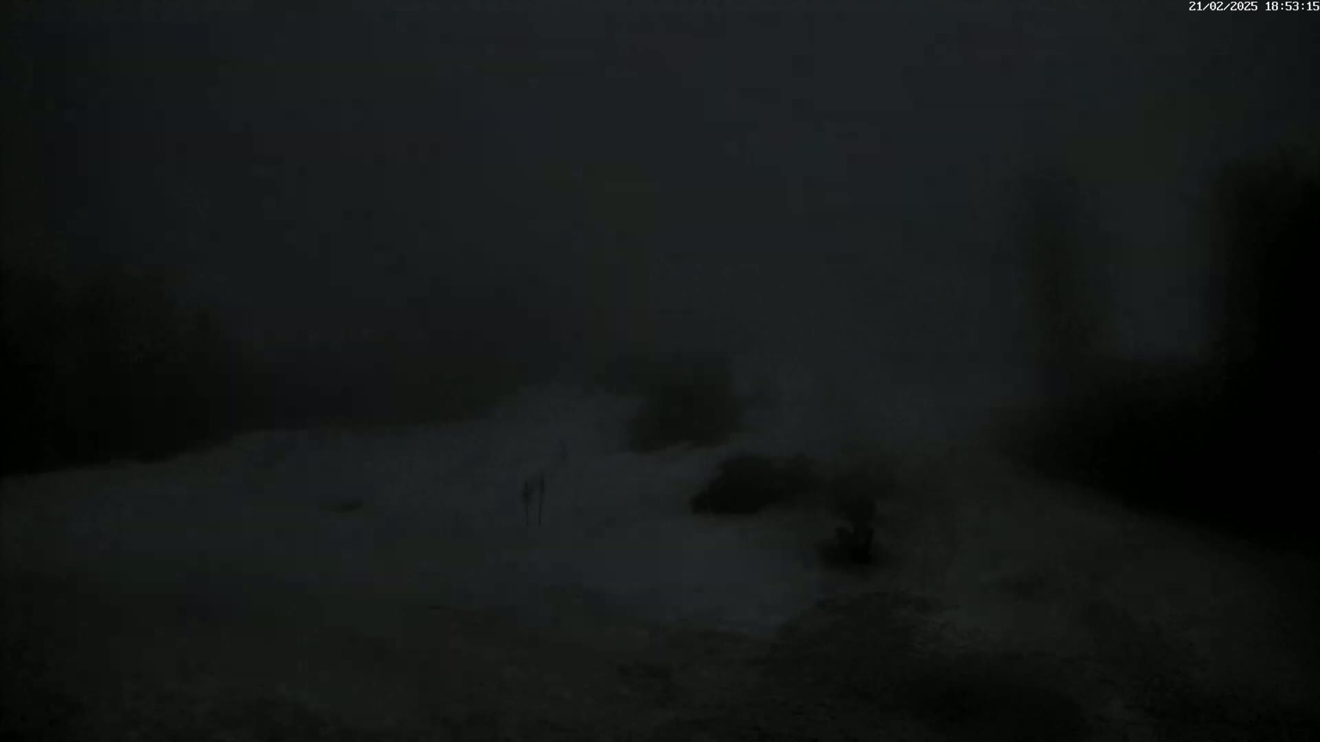 A dark, foggy scene shows indistinct shapes and shadowy figures on a snow-covered ground at night.