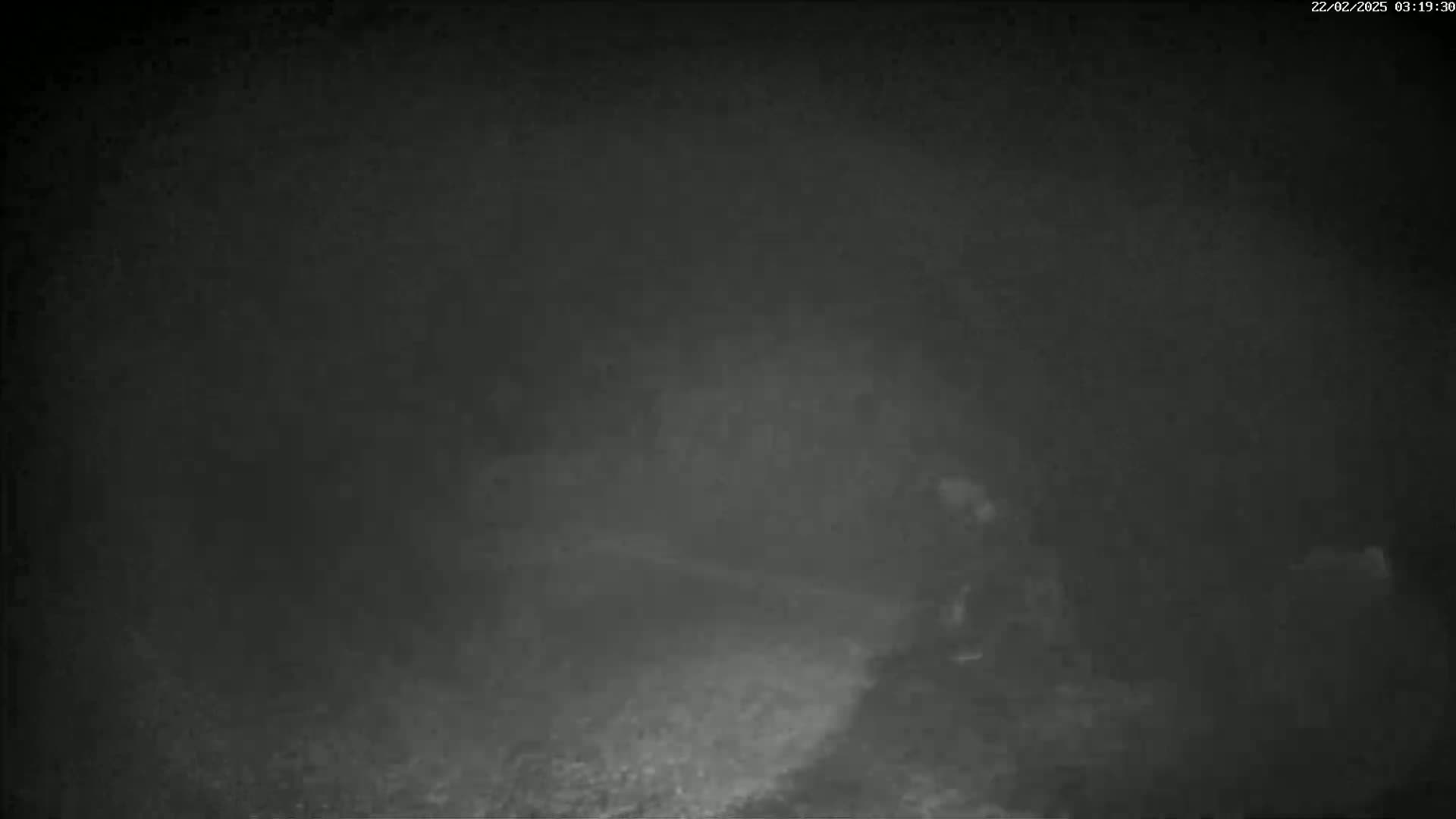 A blurry figure is visible in the fog at night.
