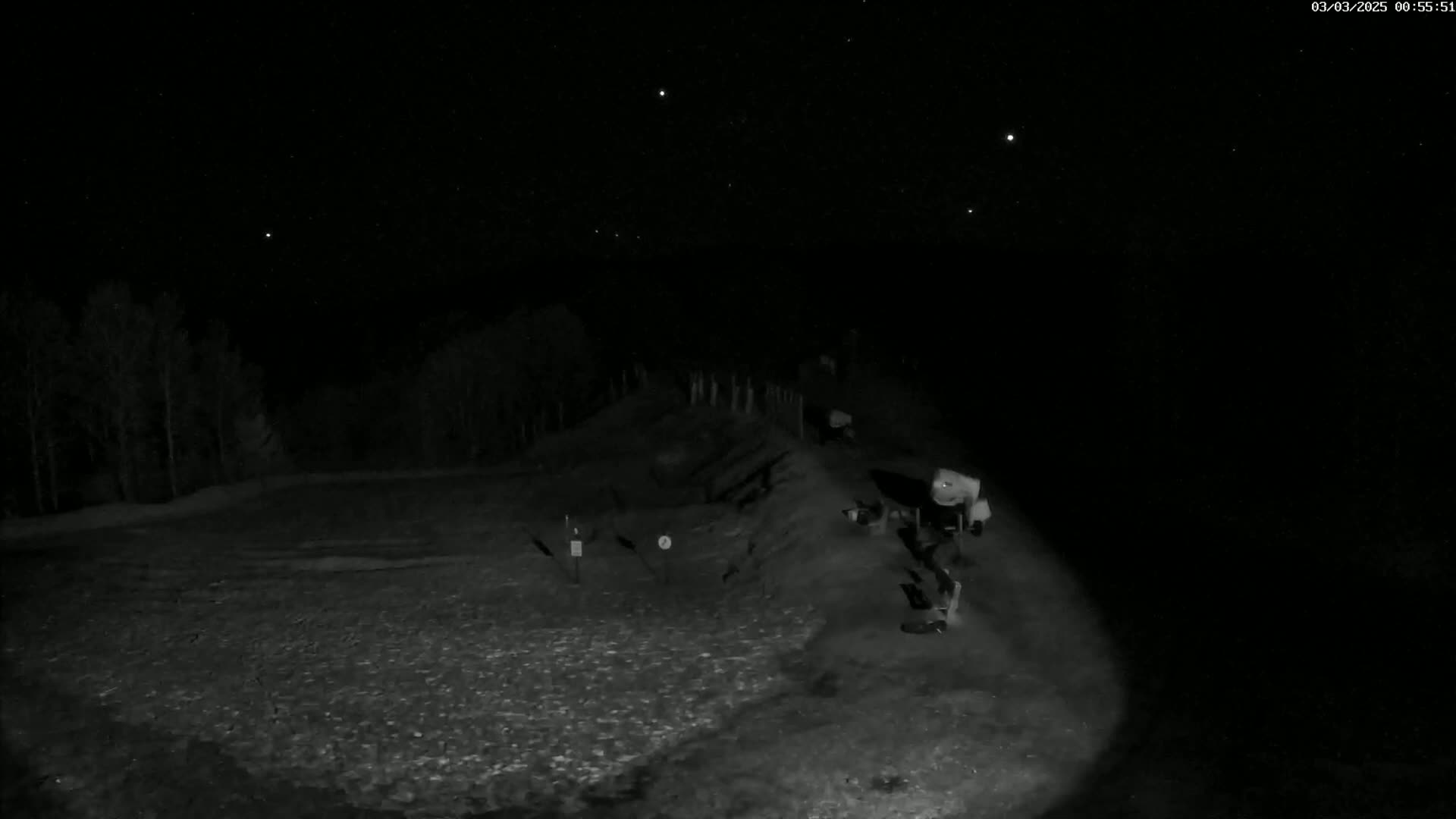 A nighttime, low-light image shows a sparsely populated outdoor area with a few indistinct objects near a low embankment under a clear, starry sky.