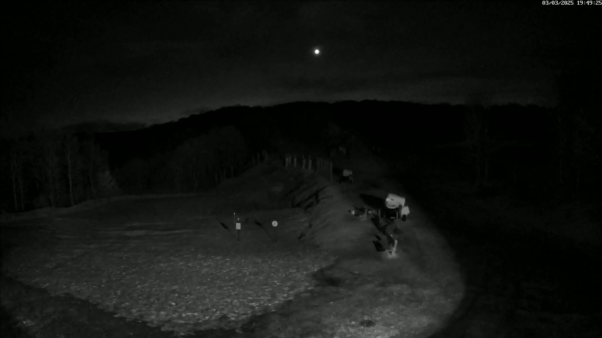 A nighttime, low-light image shows a snow-covered area with a few vehicles and some indistinct objects near a dark treeline under a slightly moonlit sky.