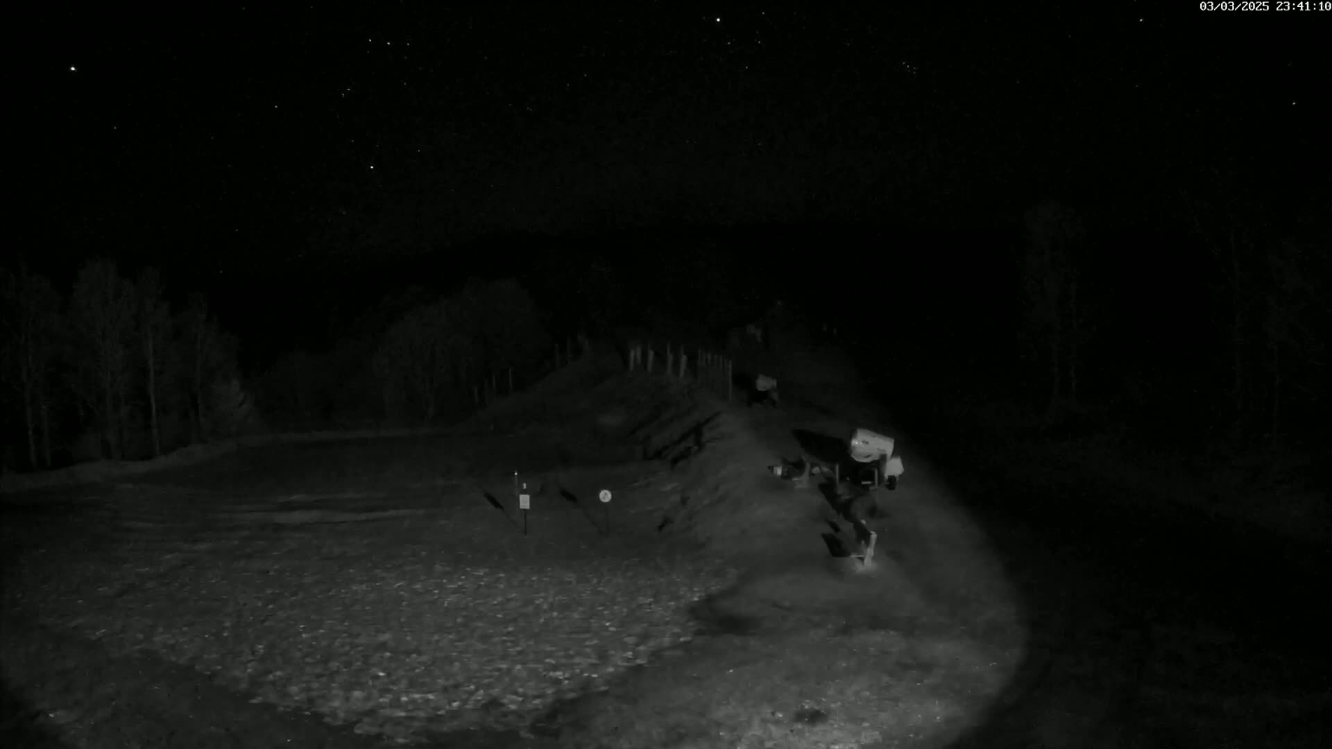 A nighttime, outdoor scene shows a sparsely populated area with some trees and a small structure near the right, under a clear, starry sky.