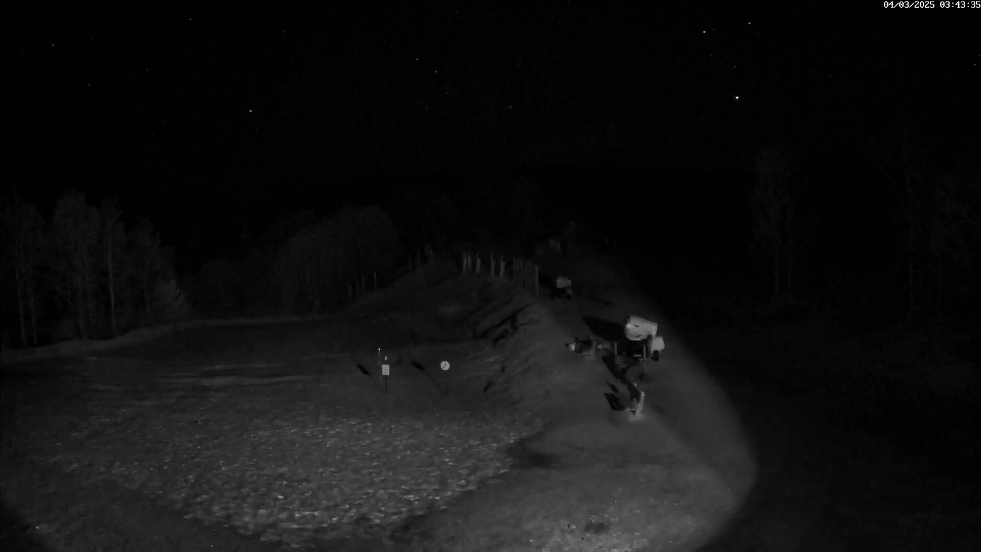 A nighttime, low-light image shows a gravelly area with some objects and a small, elevated berm, surrounded by trees under a clear, starry sky.