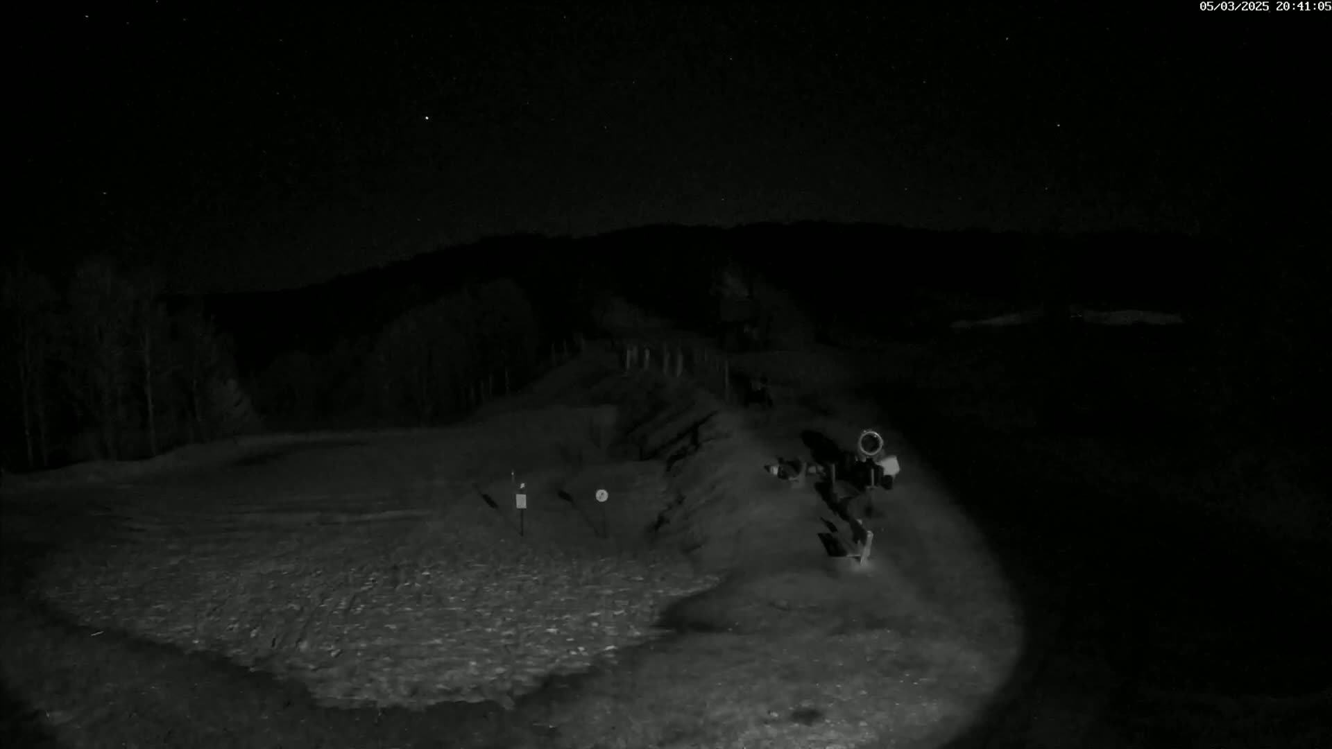 A nighttime, low-light image shows a snow-covered ground with a dark background of trees and hills under a starry sky.