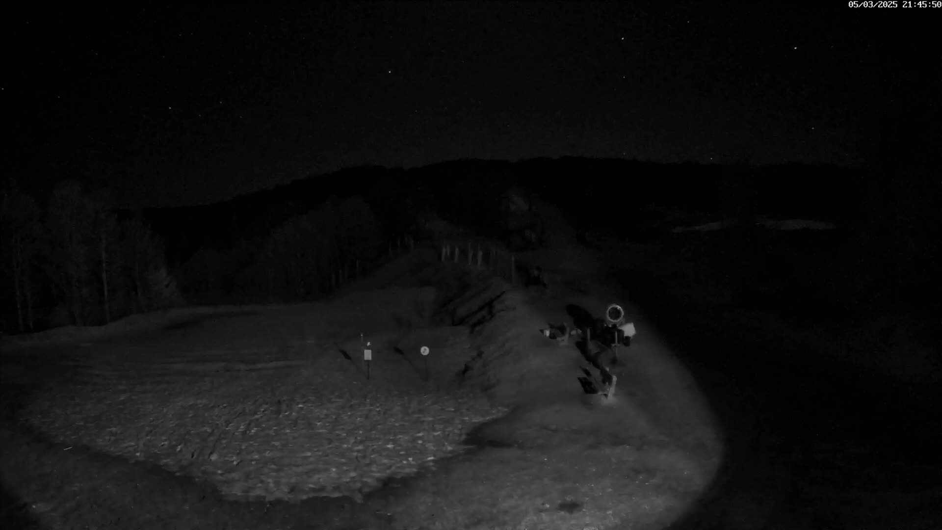 A nighttime, low-light view of a snow-covered ground with trees and a hill in the background under a starry sky.