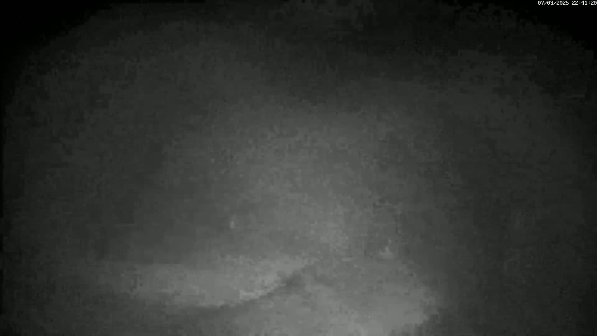 A blurry, dark gray image shows a nighttime scene with low visibility.