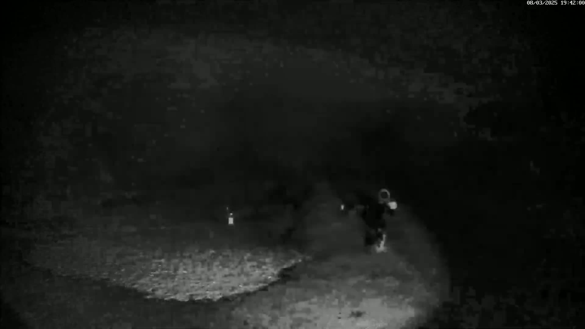 A grainy, black-and-white night vision image shows two figures walking on uneven ground in the dark.