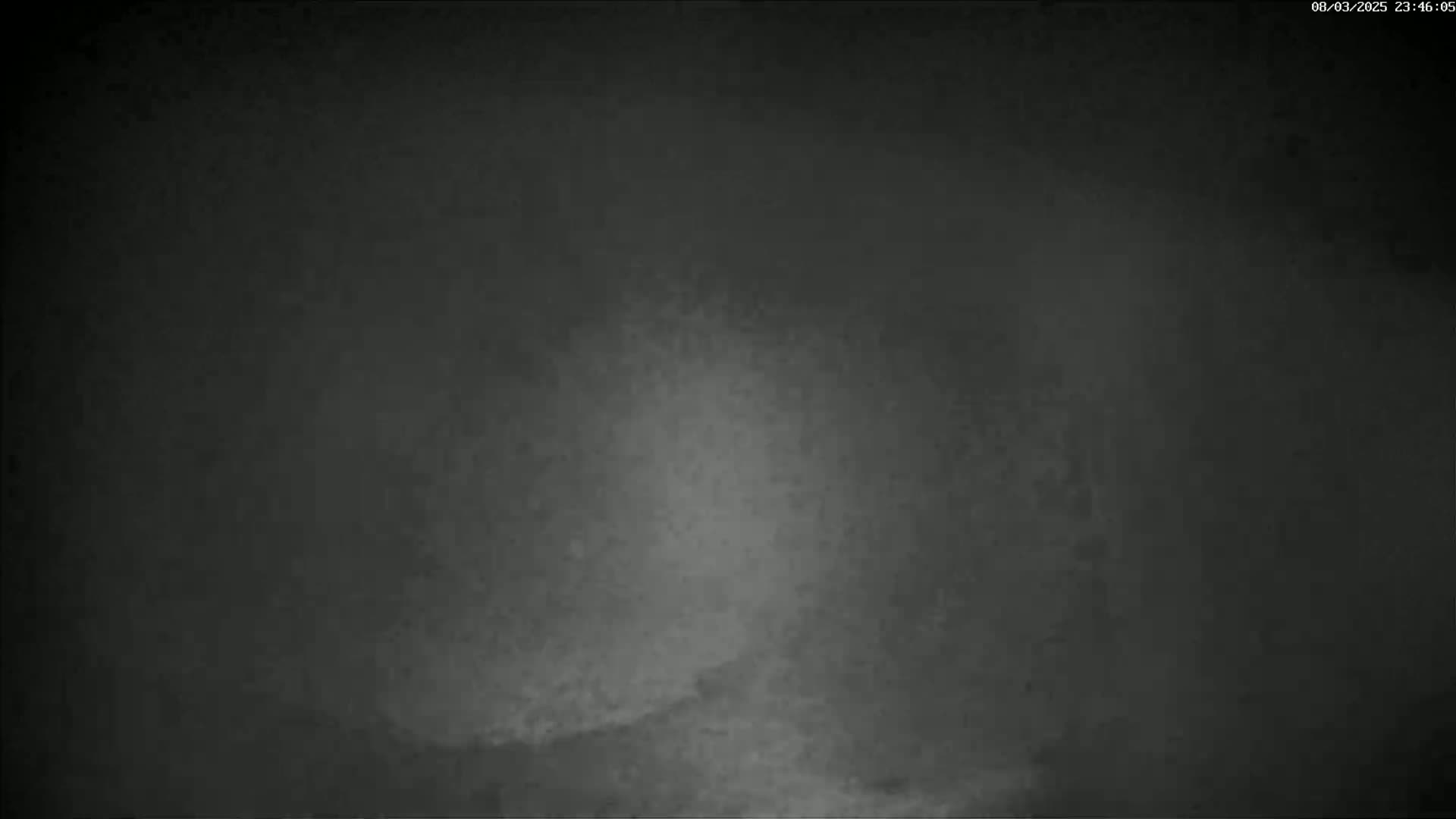 A dark, blurry image shows a mostly featureless, gray-toned scene.