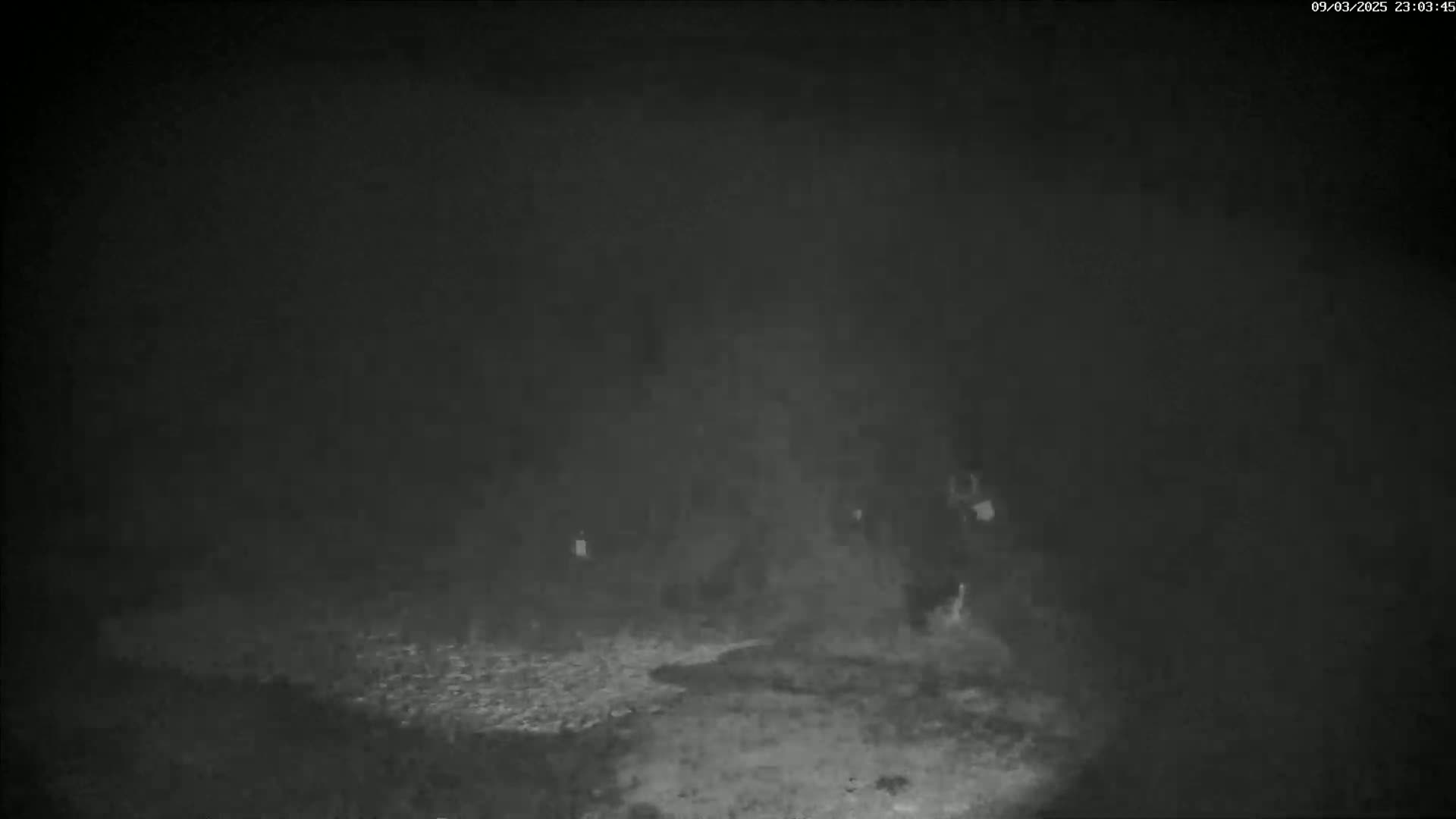 A low-light image shows two figures walking on a ground covered with small stones in foggy nighttime conditions.