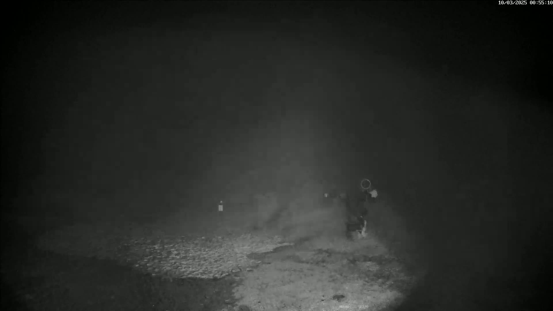 A person stands in a foggy, dark outdoor area.