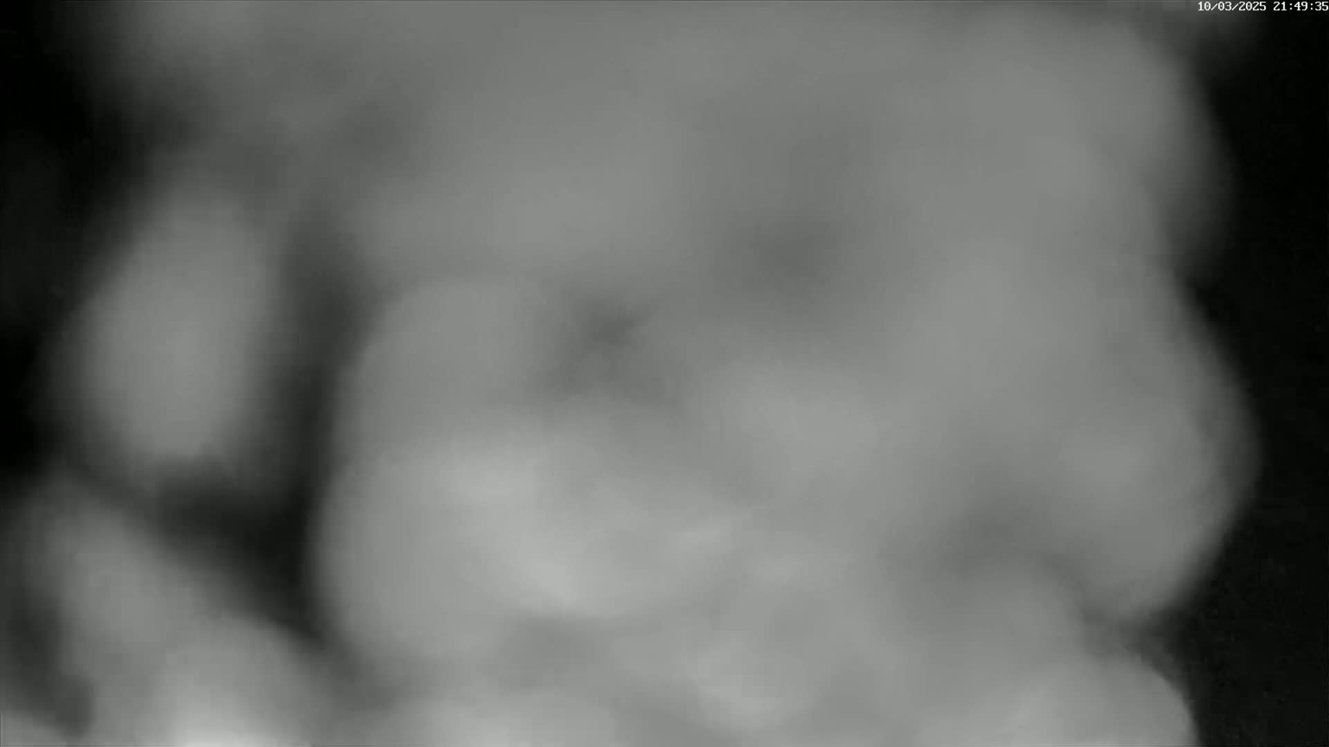 A blurry grayscale image shows a hazy or foggy scene.