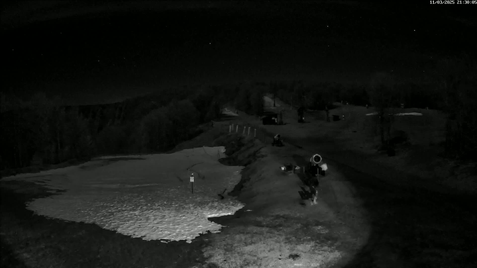 A nighttime, low-light view shows a snow-covered area next to a dark road, with trees and a few structures visible in the background under a starry sky.