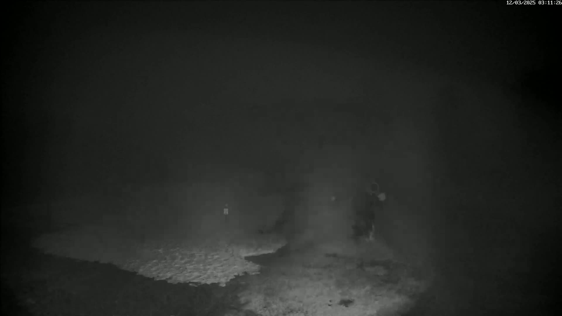 A blurry, nighttime image shows indistinct figures in heavy fog or mist.