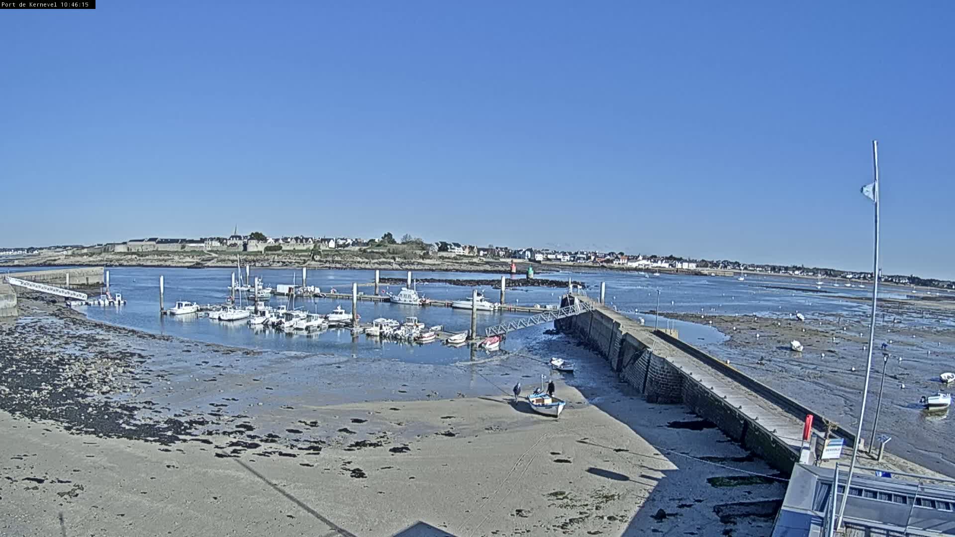 A small harbor with numerous boats docked, under a clear blue sky, shows exposed mudflats at low tide.