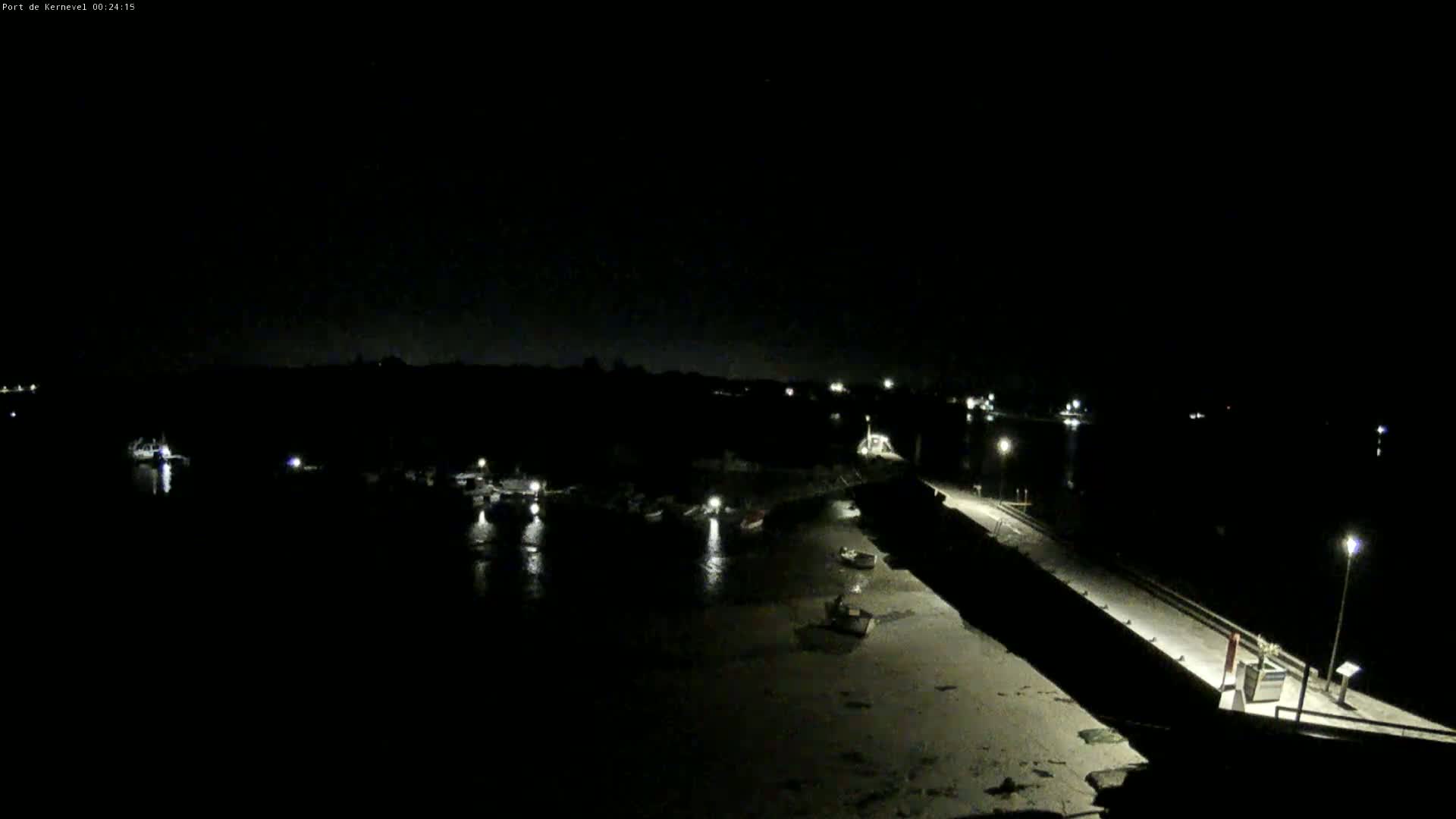 A nighttime view of a harbor with several boats moored, illuminated by lights along a pier under a clear, dark sky.