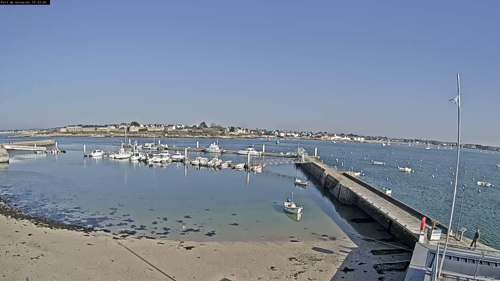 A harbor filled with numerous boats is visible under a clear, sunny sky, with a town in the distance and a sandy shore in the foreground.